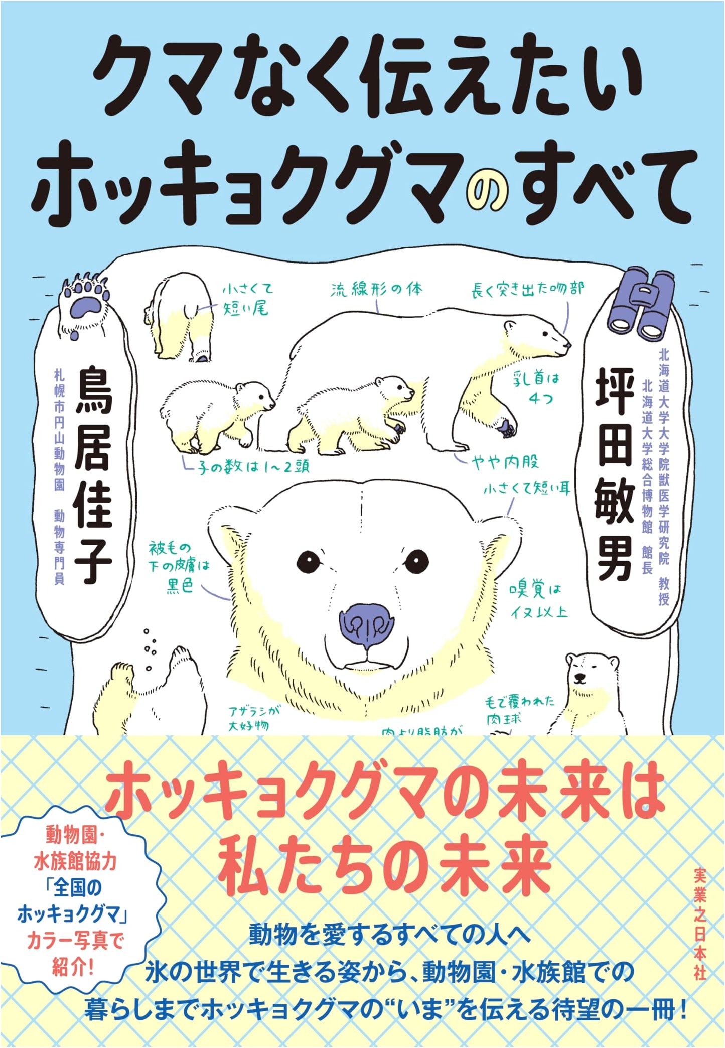 Everything About Polar Bears: A Comprehensive Guide