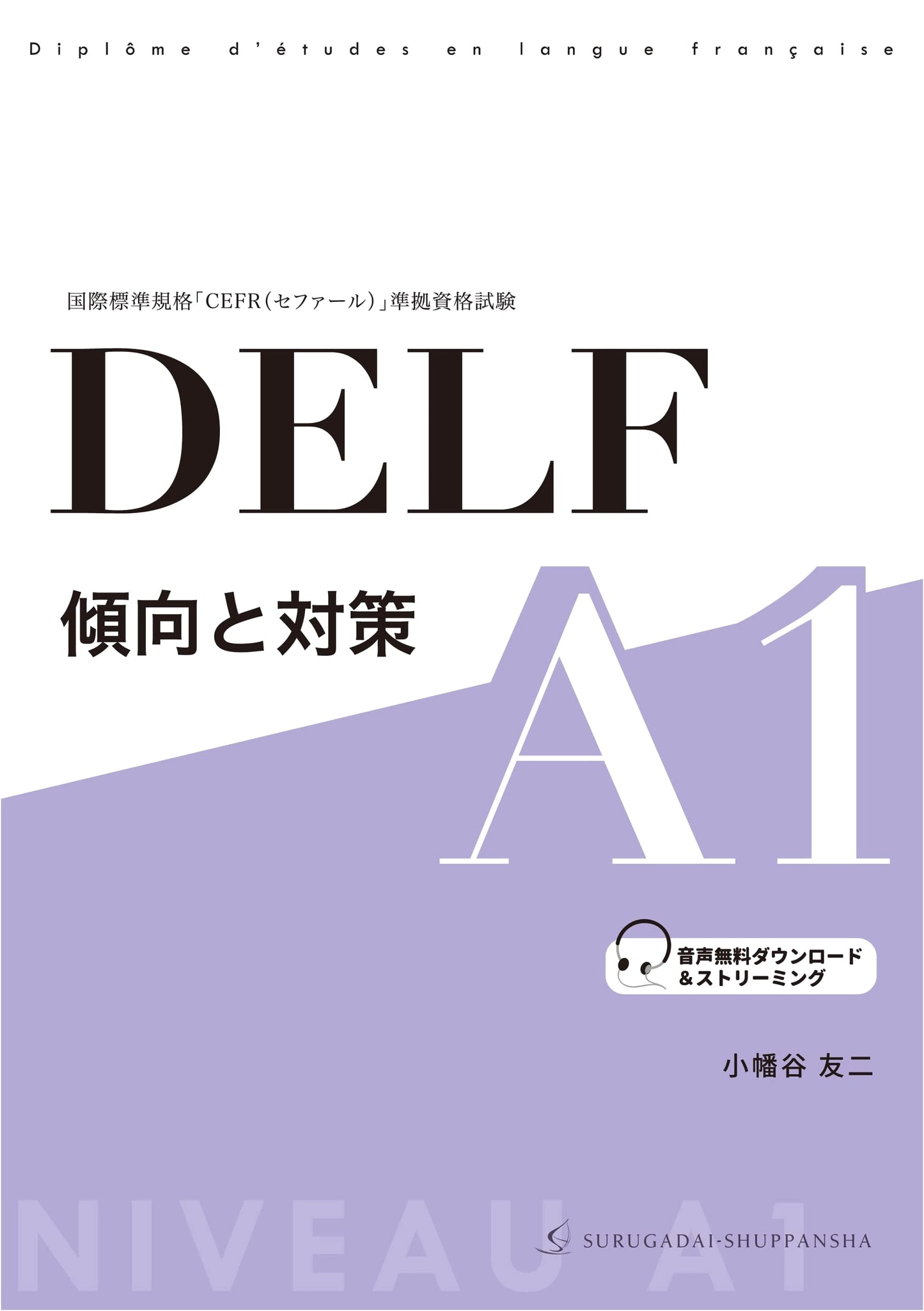 DELF A1 Exam Preparation and Strategy Guide