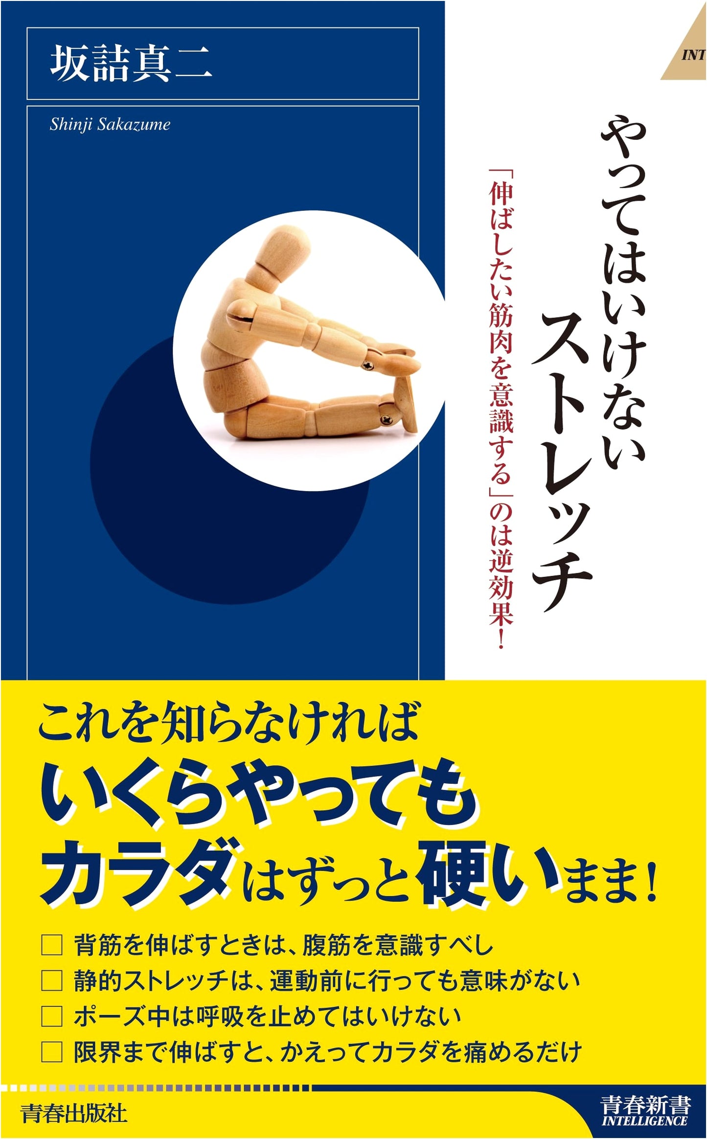Stretches You Should Avoid (Seishun Shinsho Intelligence)