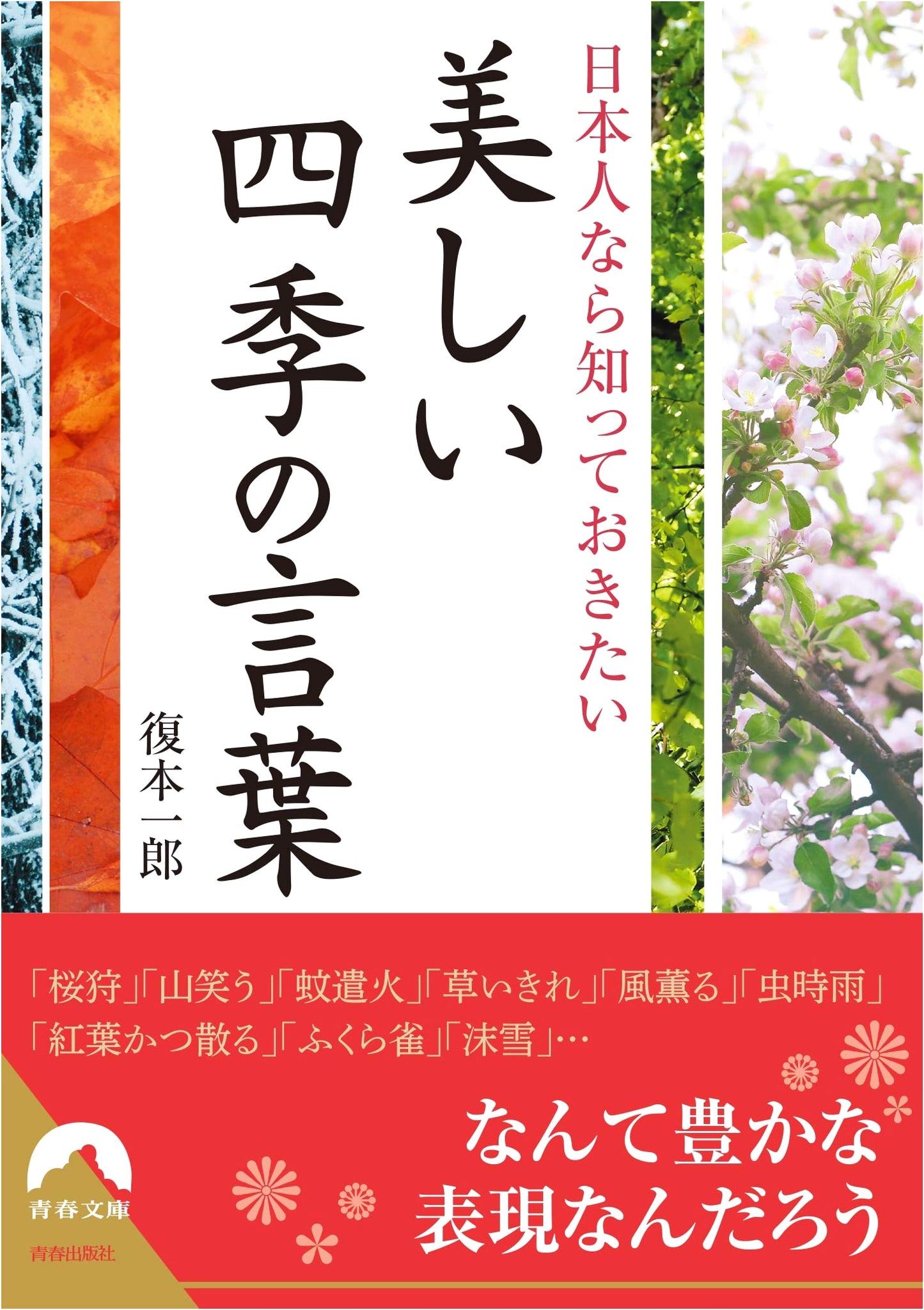 Beautiful Words of the Four Seasons Every Japanese Person Should Know