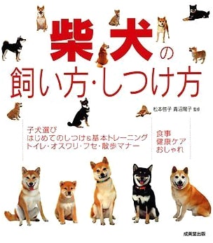 Shiba Inu Care & Training Guide