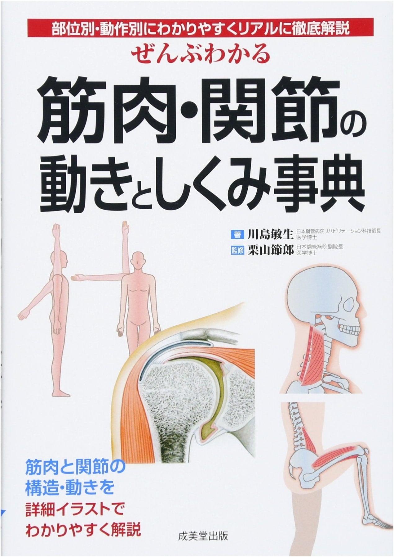 Illustrated Dictionary of Muscle & Joint Movements & Mechanisms