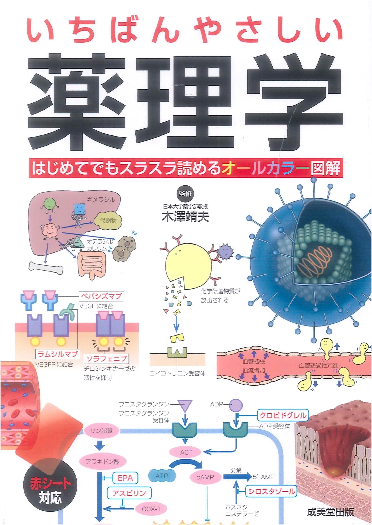 The Easiest Pharmacology: A Comprehensive Guide