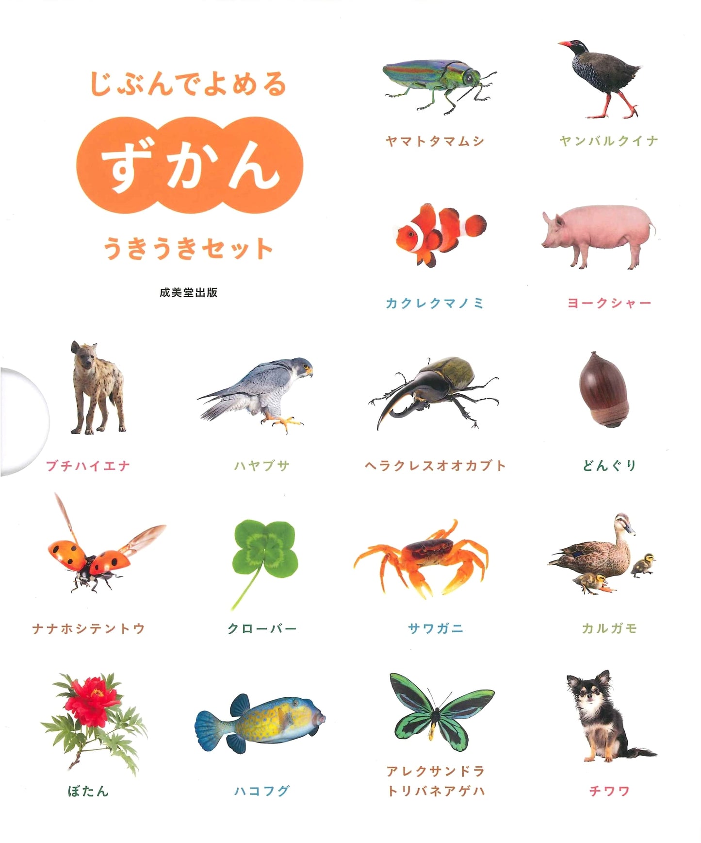 My First Illustrated Encyclopedia: Cheerful Learning Set