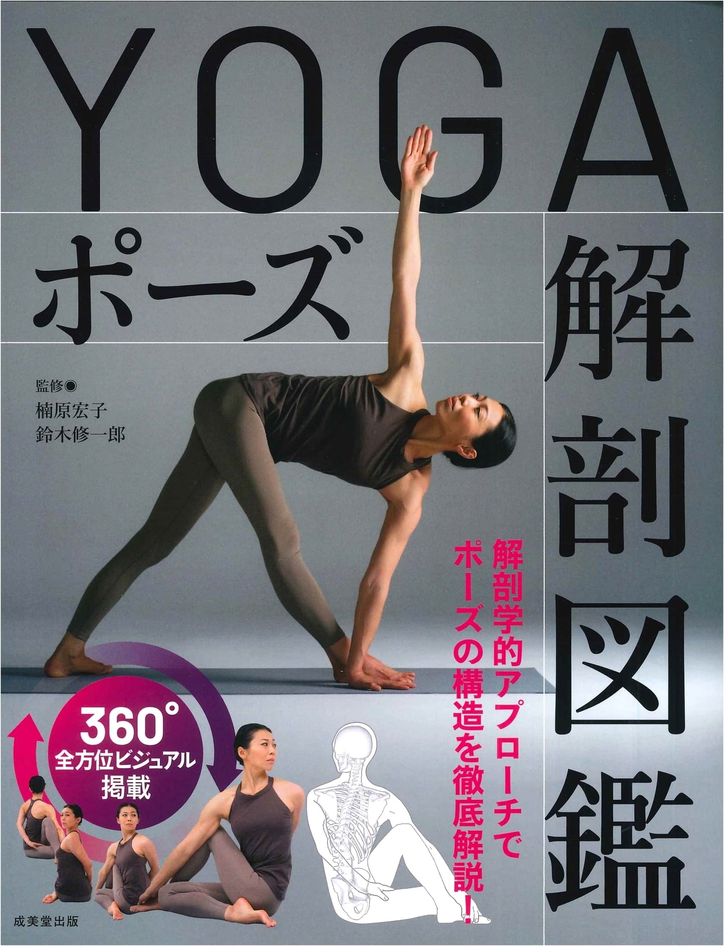 Yoga Pose Anatomy Illustrated Guide: Mastering the Art of Movement