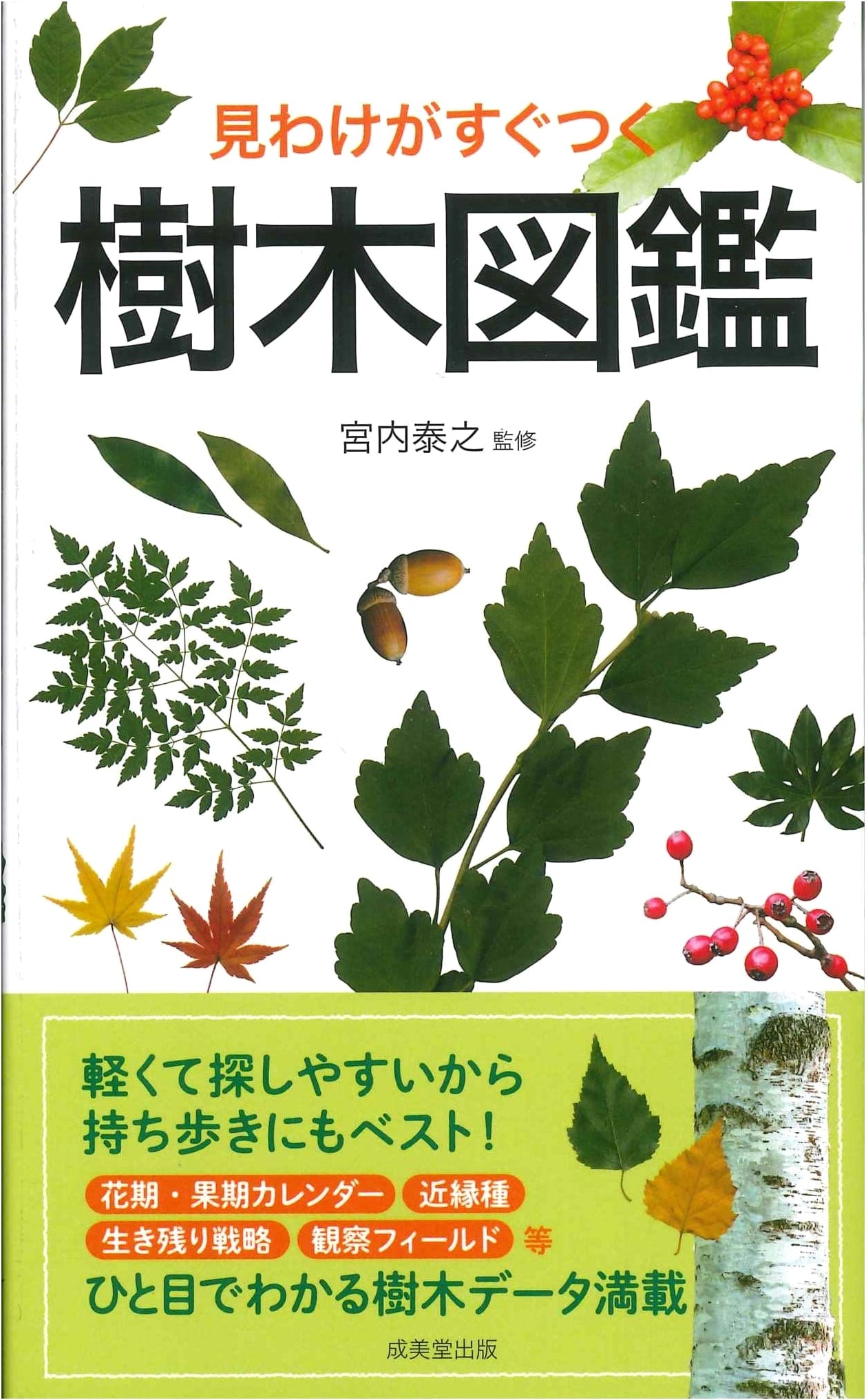 Field Guide to Easily Identifiable Trees