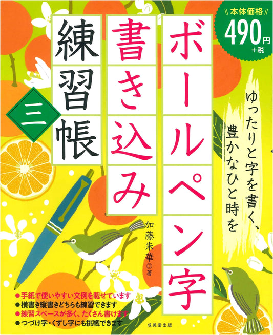 Ballpoint Pen Calligraphy Practice Workbook Vol. 3