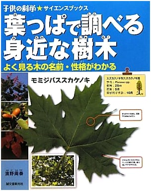 Discovering Local Trees by Leaves: Understanding Names & Traits (Children's Science)