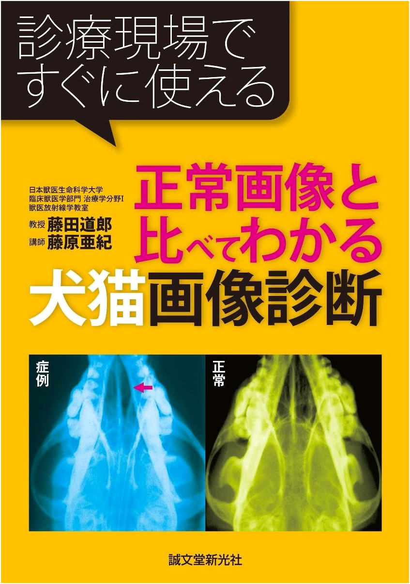 Canine and Feline Diagnostic Imaging: A Practical Guide by Michio Fujita