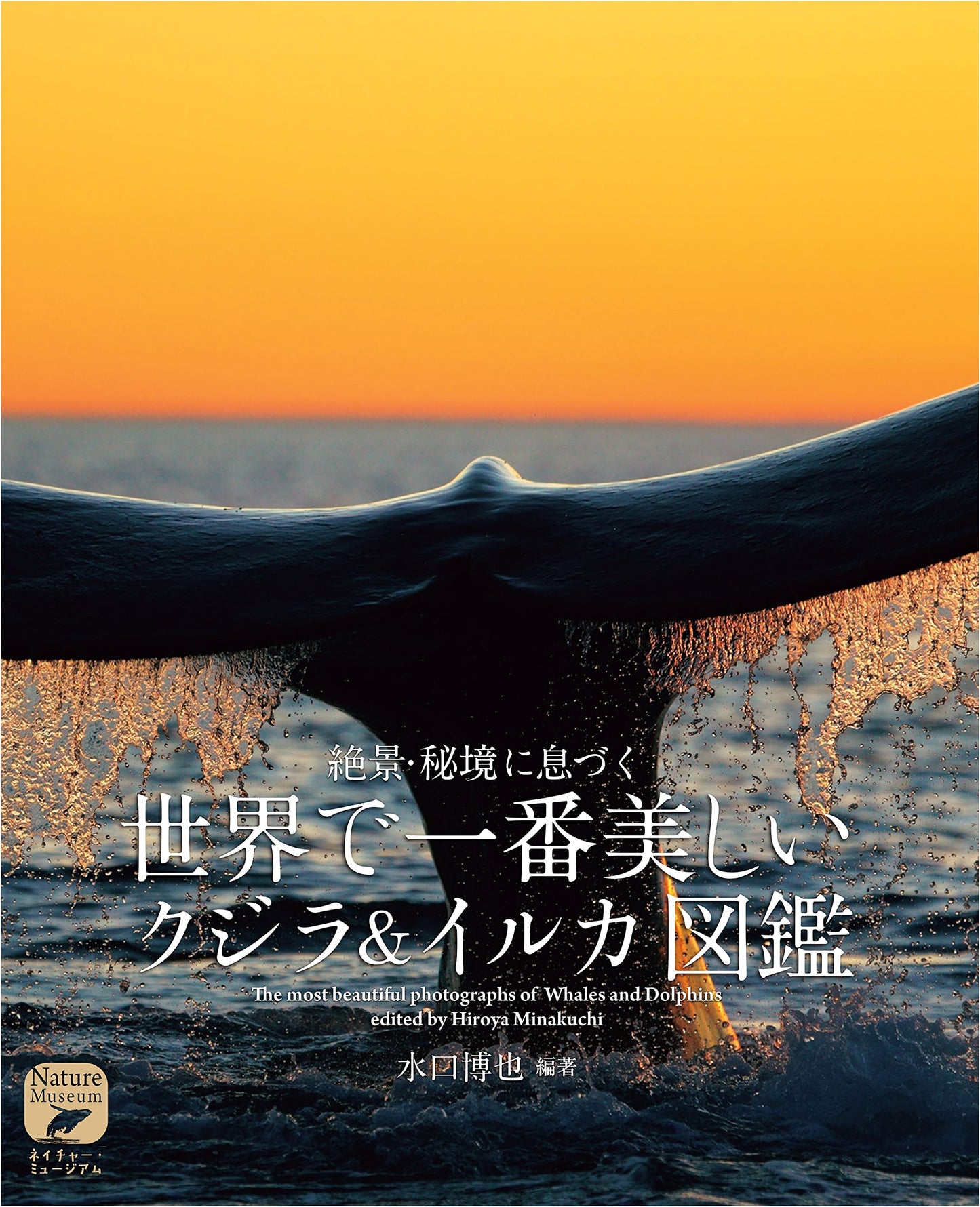 The World's Most Beautiful Whale & Dolphin Guide: Residing in Breathtaking Secret Places