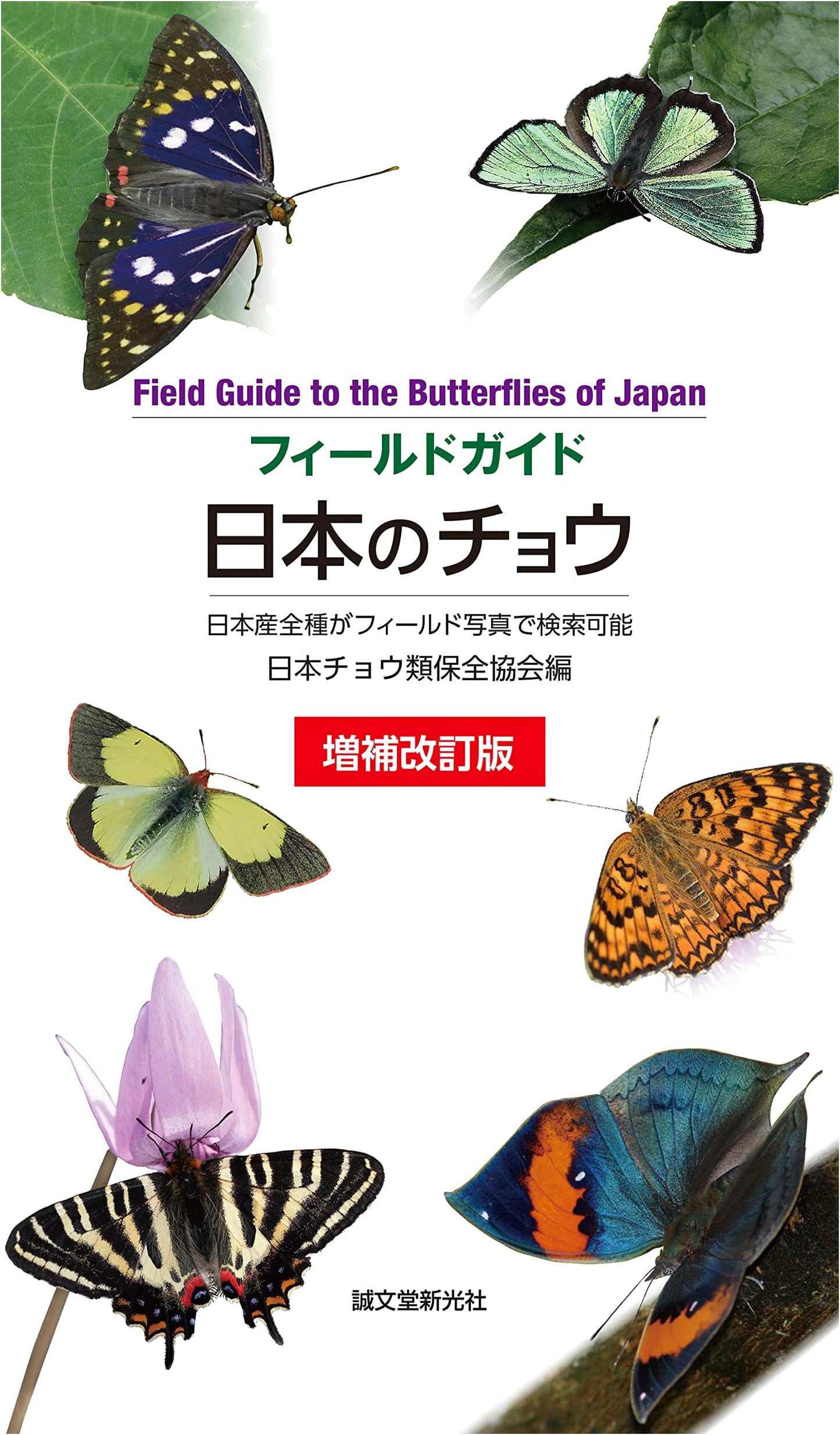 Revised & Expanded Guide to the Butterflies of Japan: Field Photography for All Species