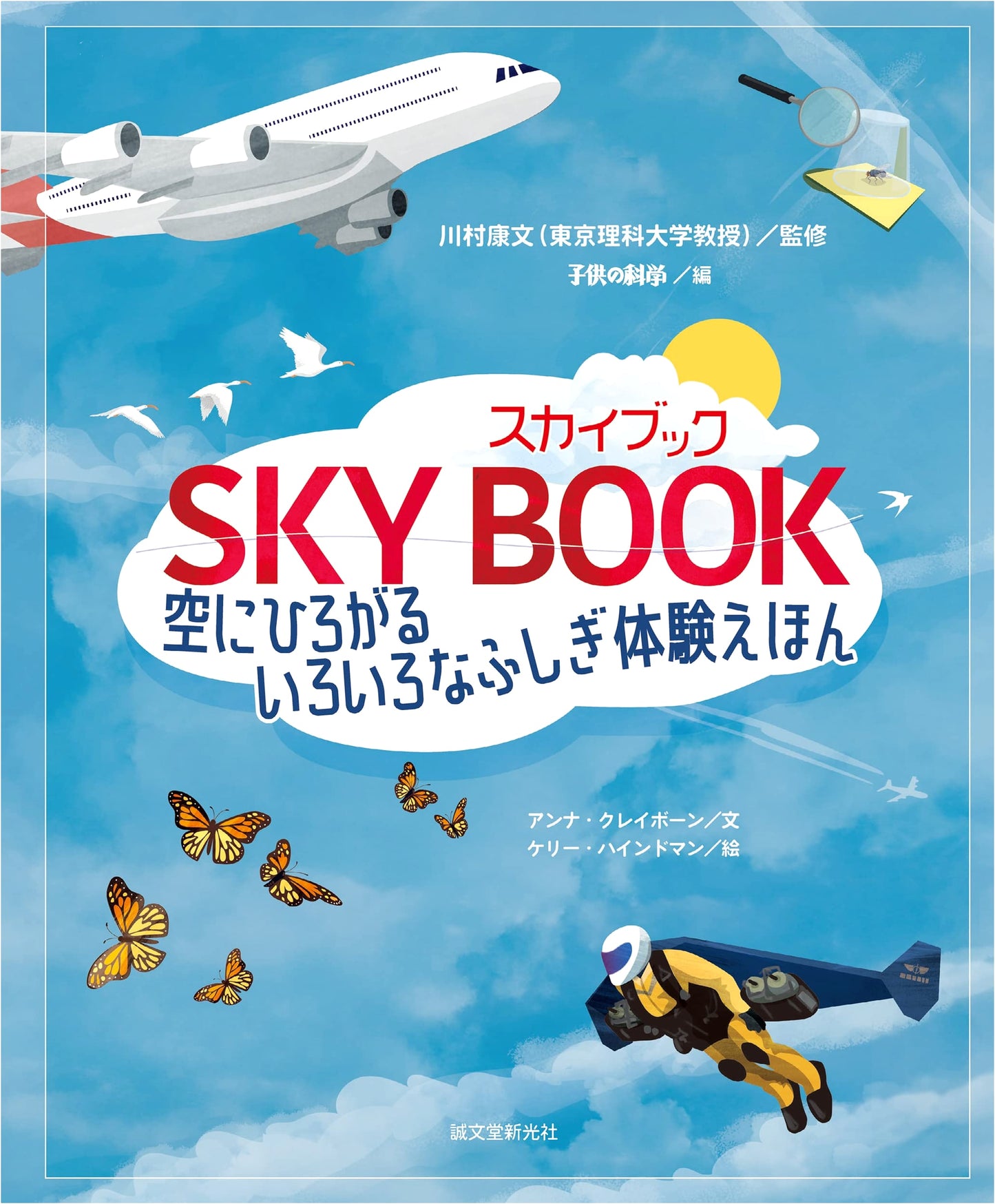 Skybook: A Picture Book of Mysterious Experiences in the Sky