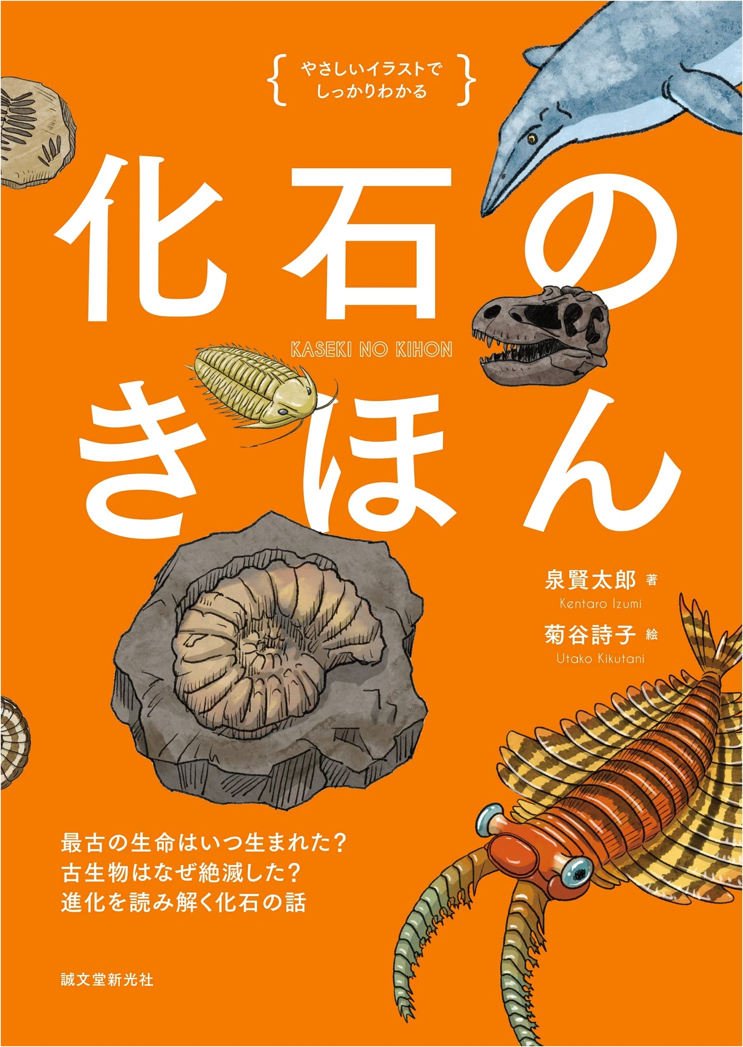 The Basics of Fossils: The Story of Evolution Unraveled (Illustrated)