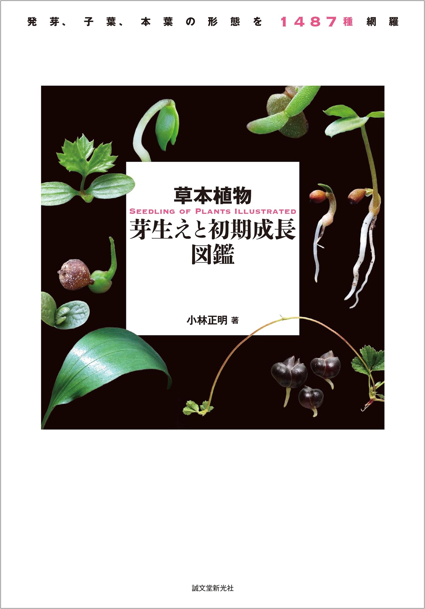 Illustrated Encyclopedia of Herbaceous Plant Seedlings: Germination & Early Growth (1487 Species)
