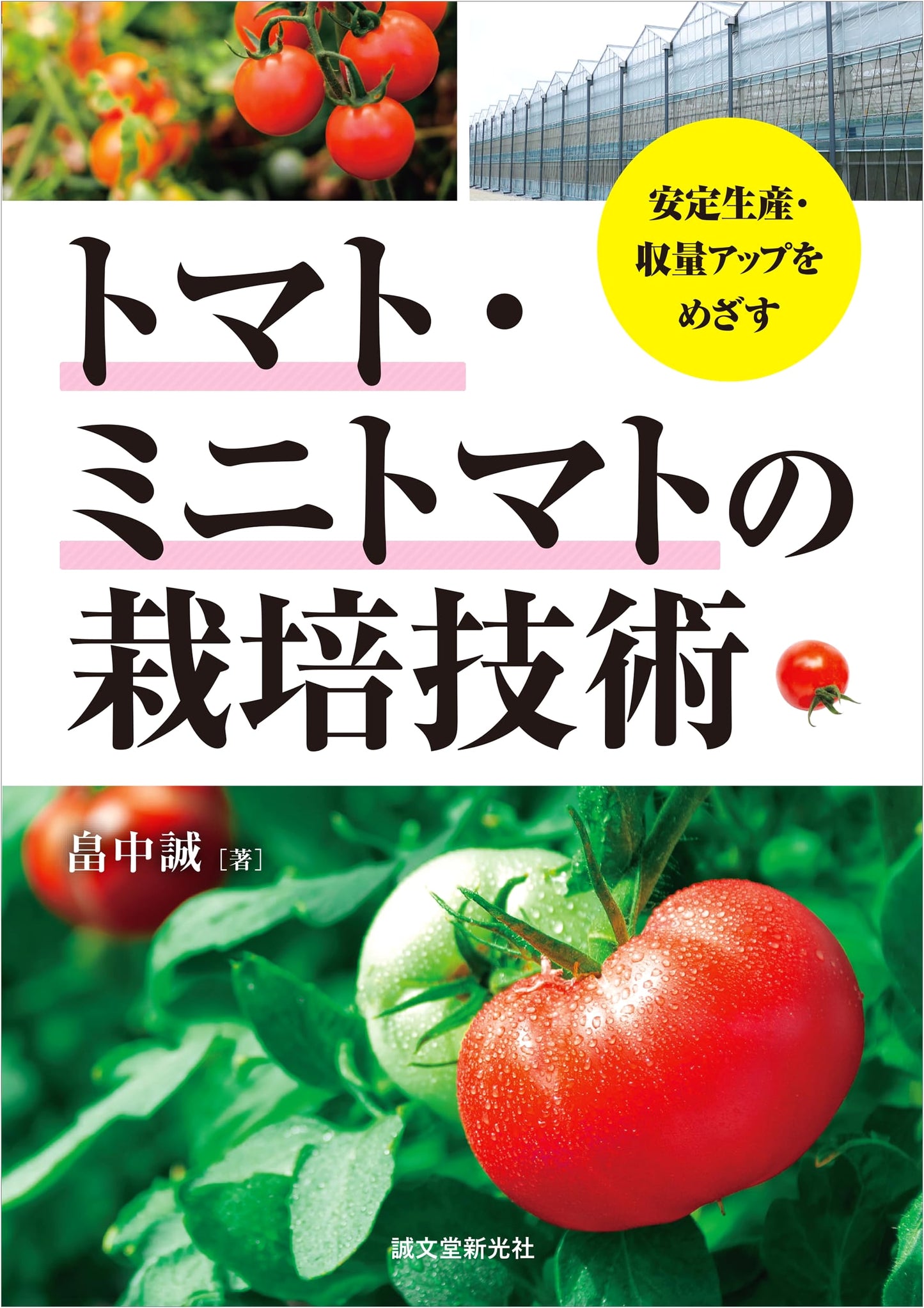 Tomato & Cherry Tomato Cultivation Techniques: Aiming for Stable Production & Increased Yields