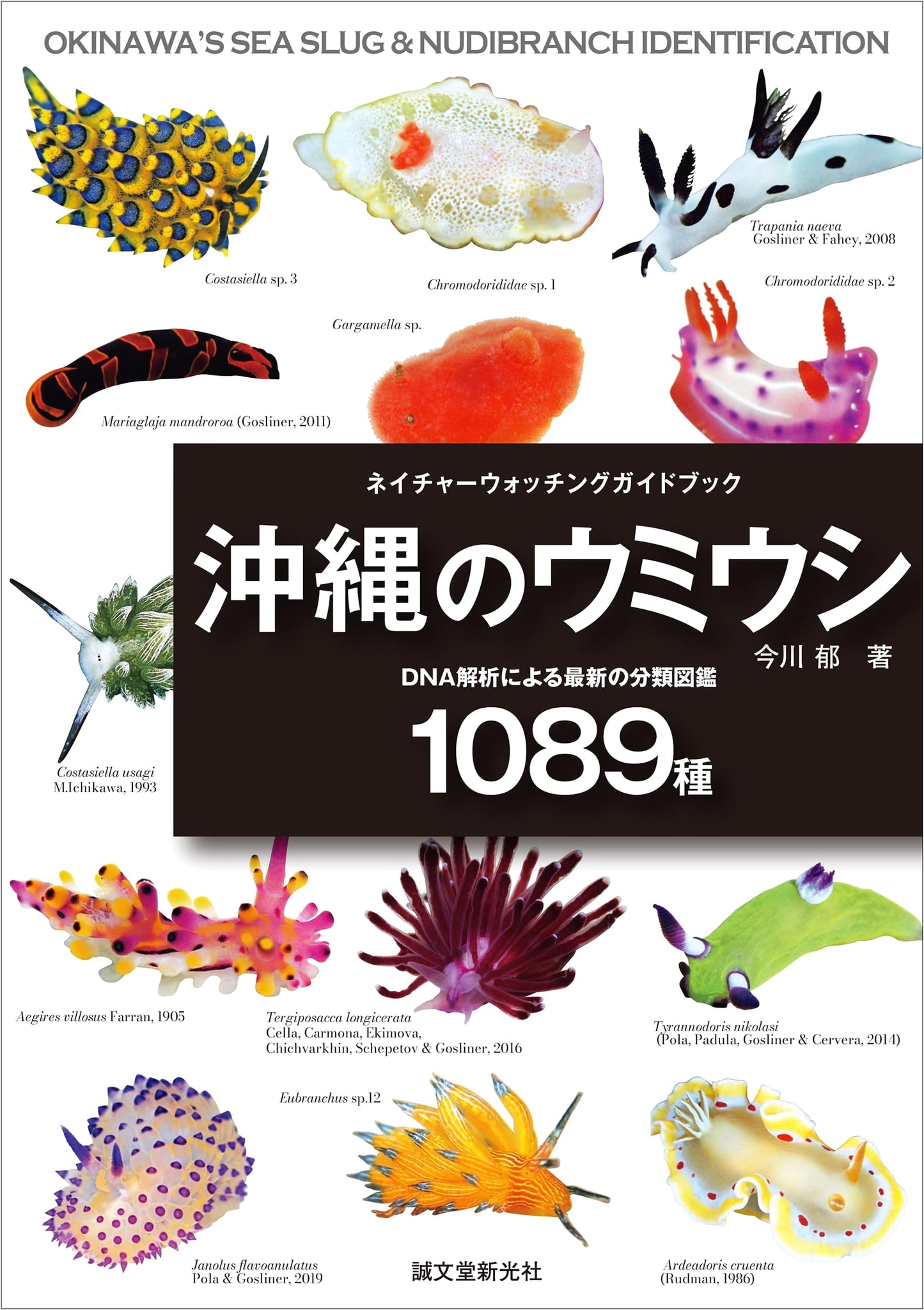 Nudibranchs of Okinawa: A DNA-Analyzed Guide to 1089 Species