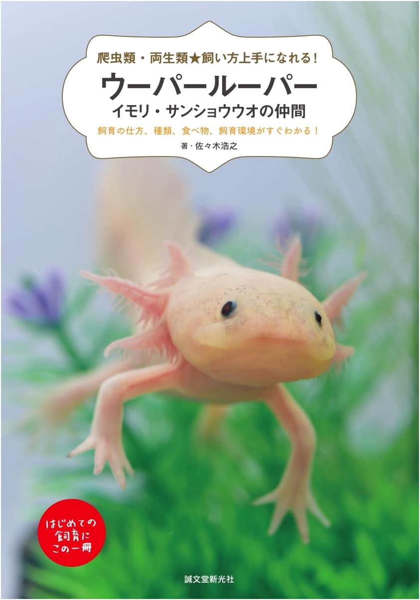 Axolotls, Newts & Salamanders: A Quick Guide to Care, Species, Food & Habitat