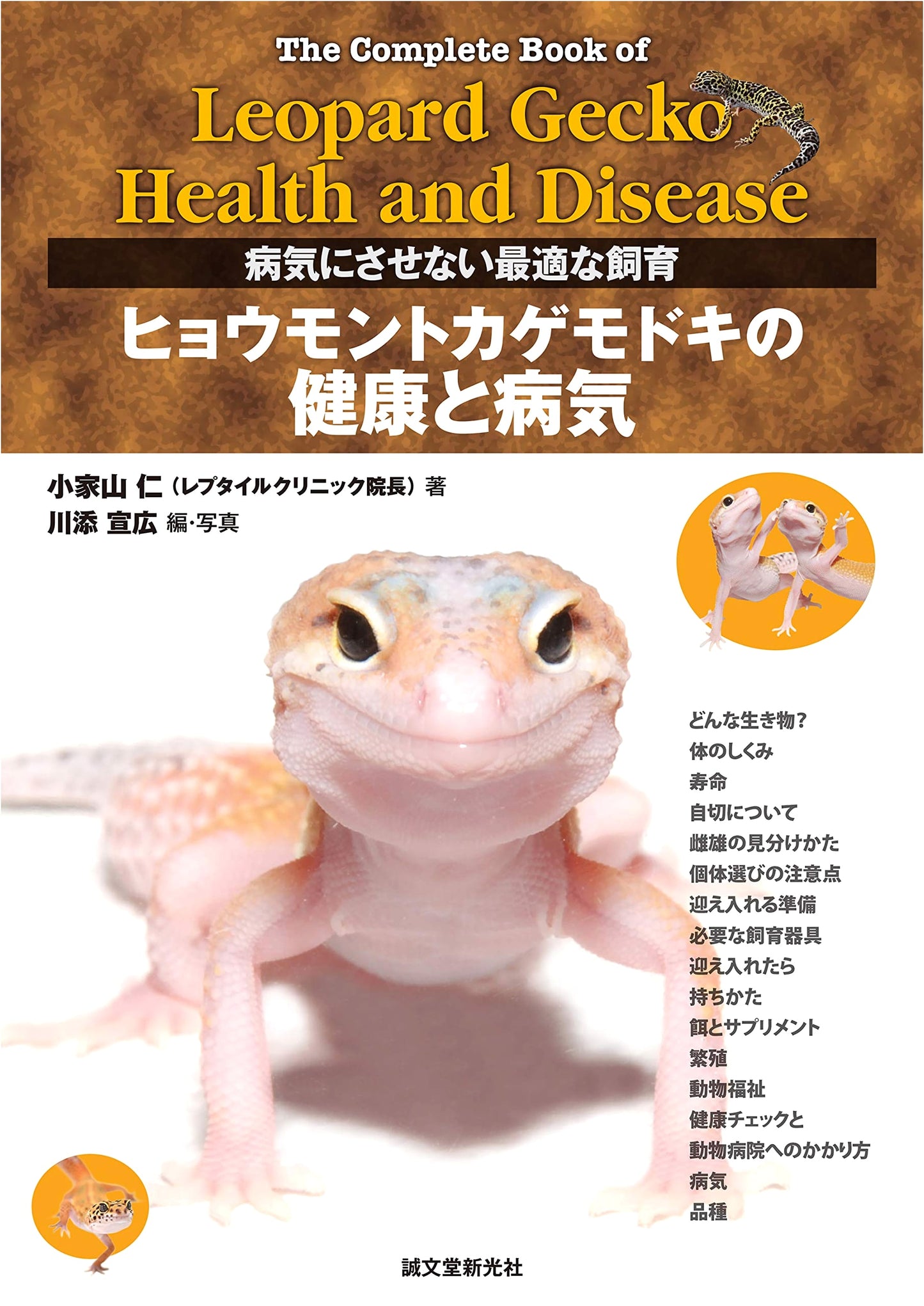 Leopard Gecko Health & Diseases: Optimal Husbandry for Prevention