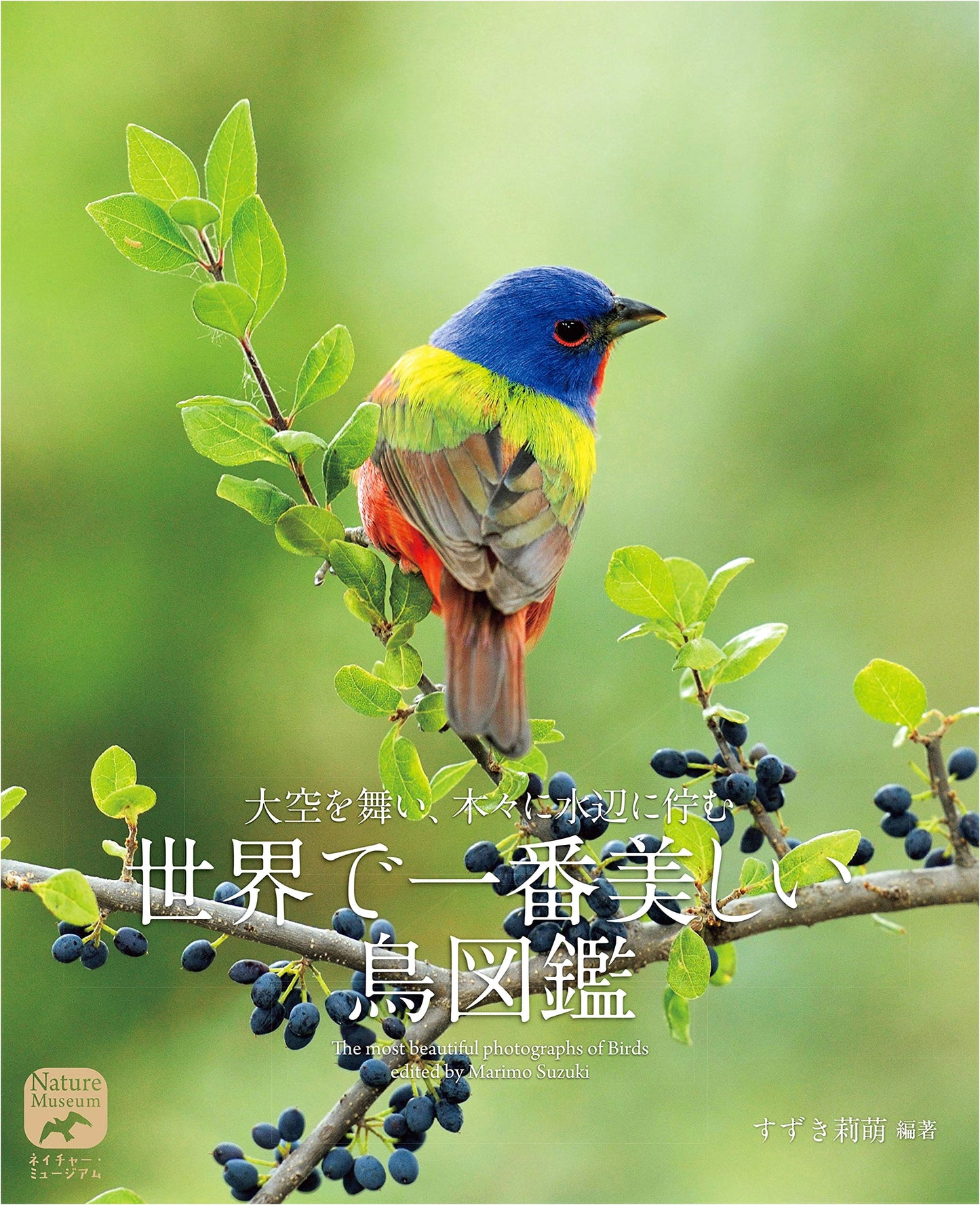 The World's Most Beautiful Birds: An Illustrated Guide to Avians in Flight and Rest (Nature Museum)