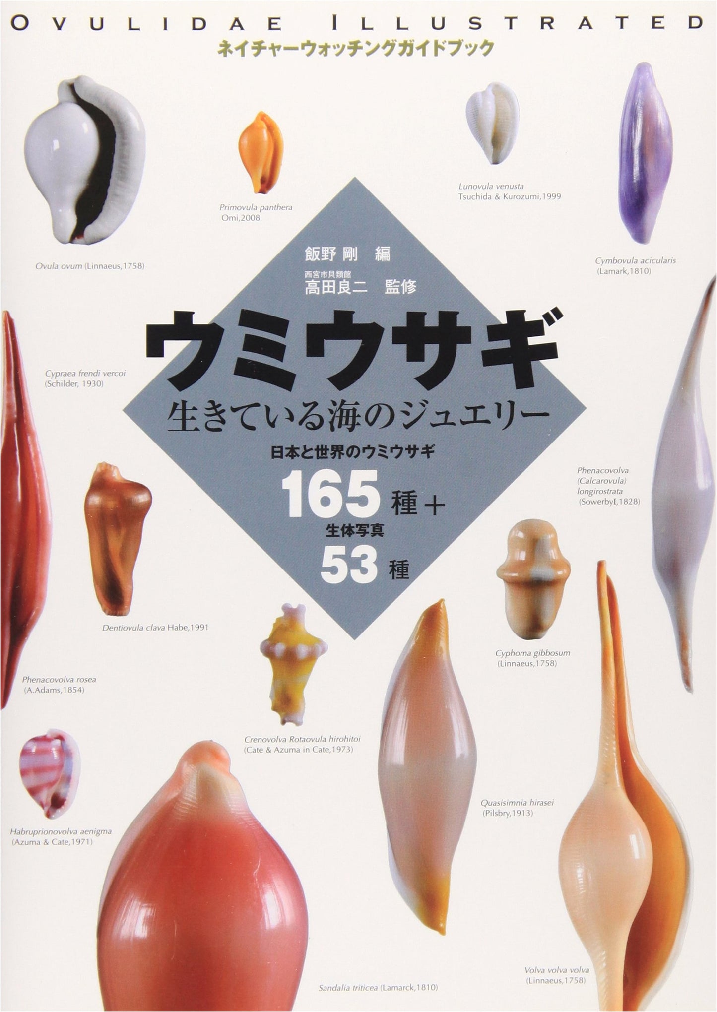 Sea Hare: Living Jewels of the Ocean - 165 Species of Japan & the World + 53 Live Photos