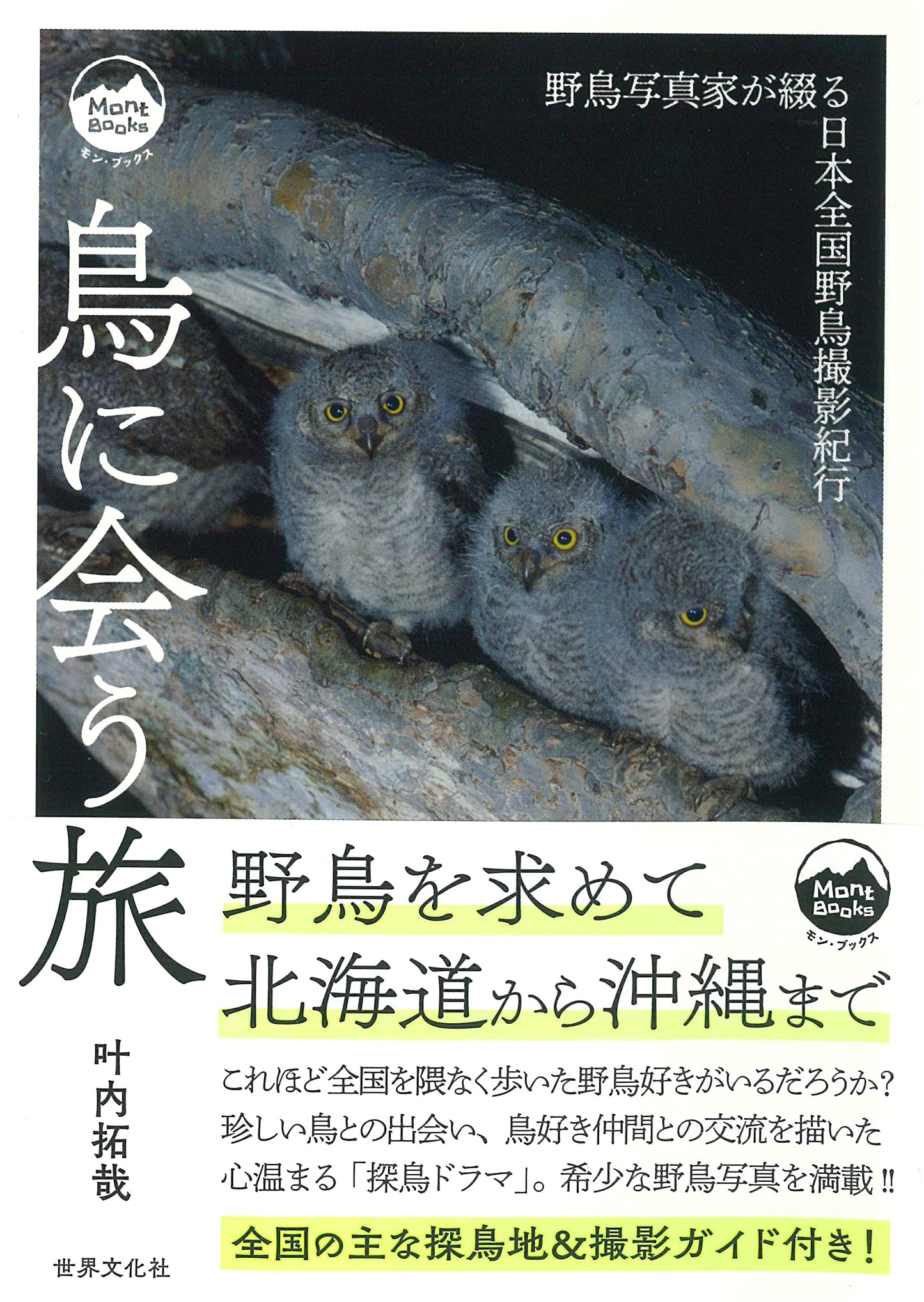 A Journey to Meet Birds: A Wildlife Photographer's Account of Birding Across Japan