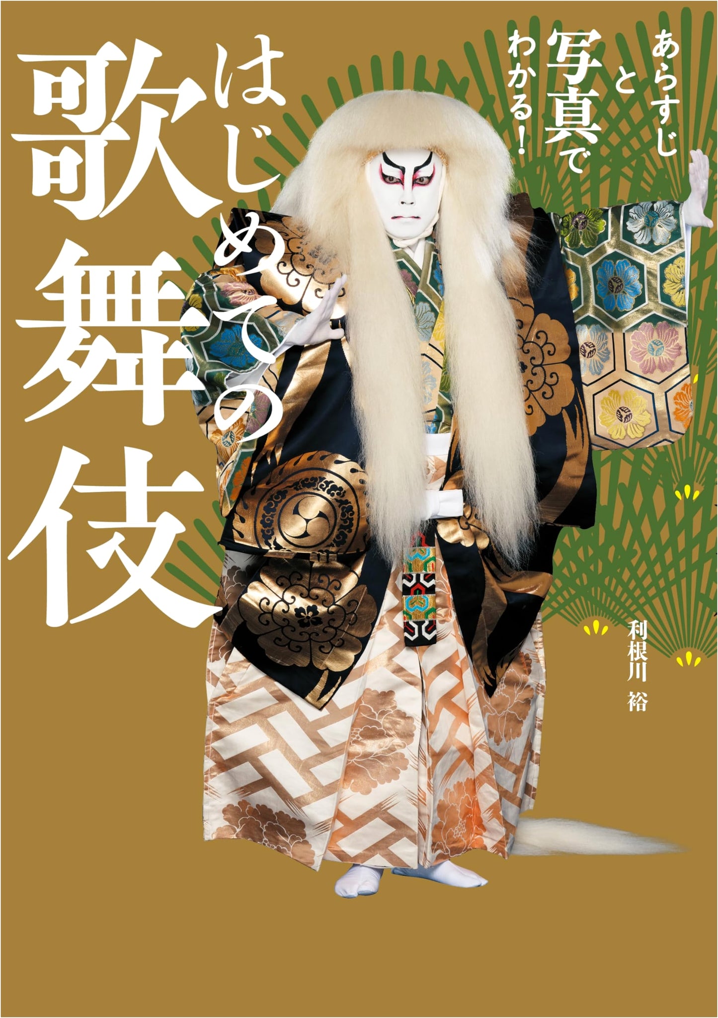 Kabuki for Beginners: A Photo Guide to Plots and Characters by Yu Tonegawa