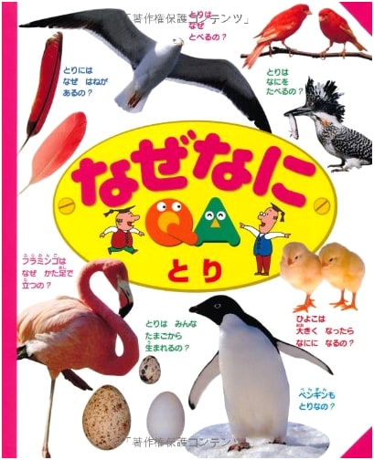 Nazenani Tori: An Illustrated Guide to Birds