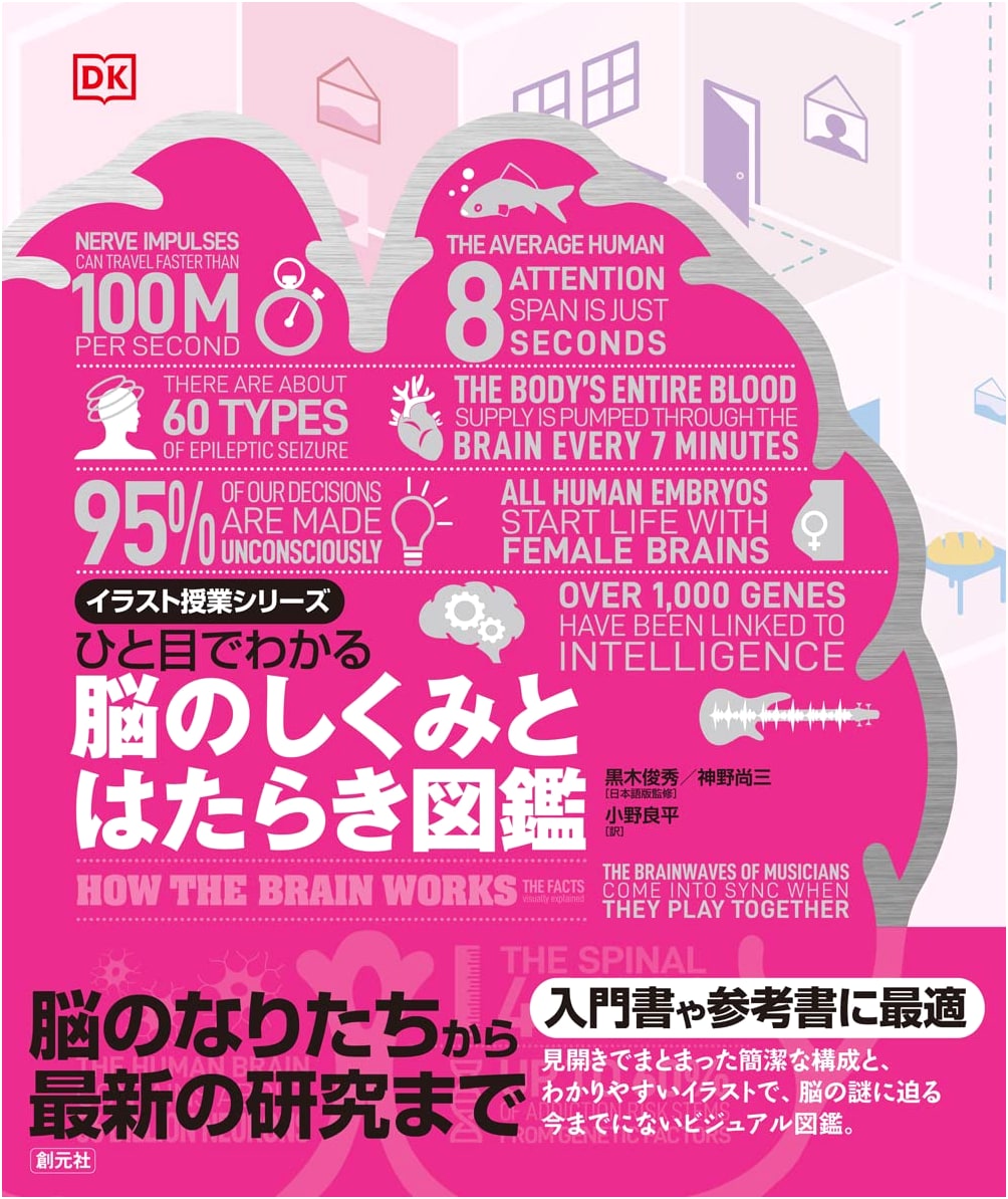 A Visual Guide to Brain Structure & Function (Illustrated Lecture Series)