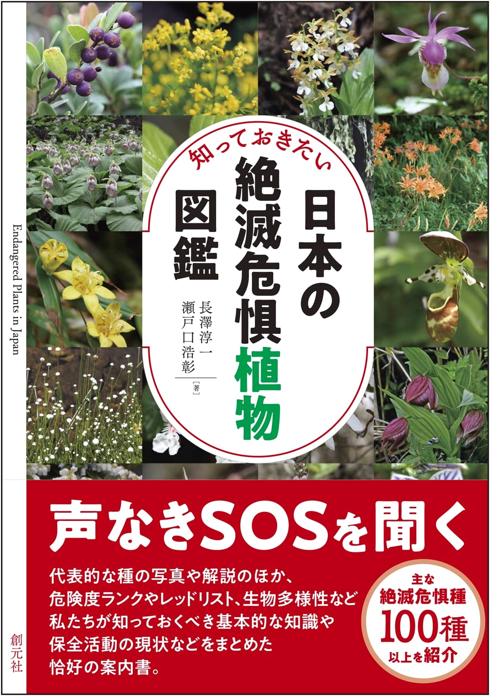 Illustrated Guide to Japan's Endangered Plants: What You Should Know