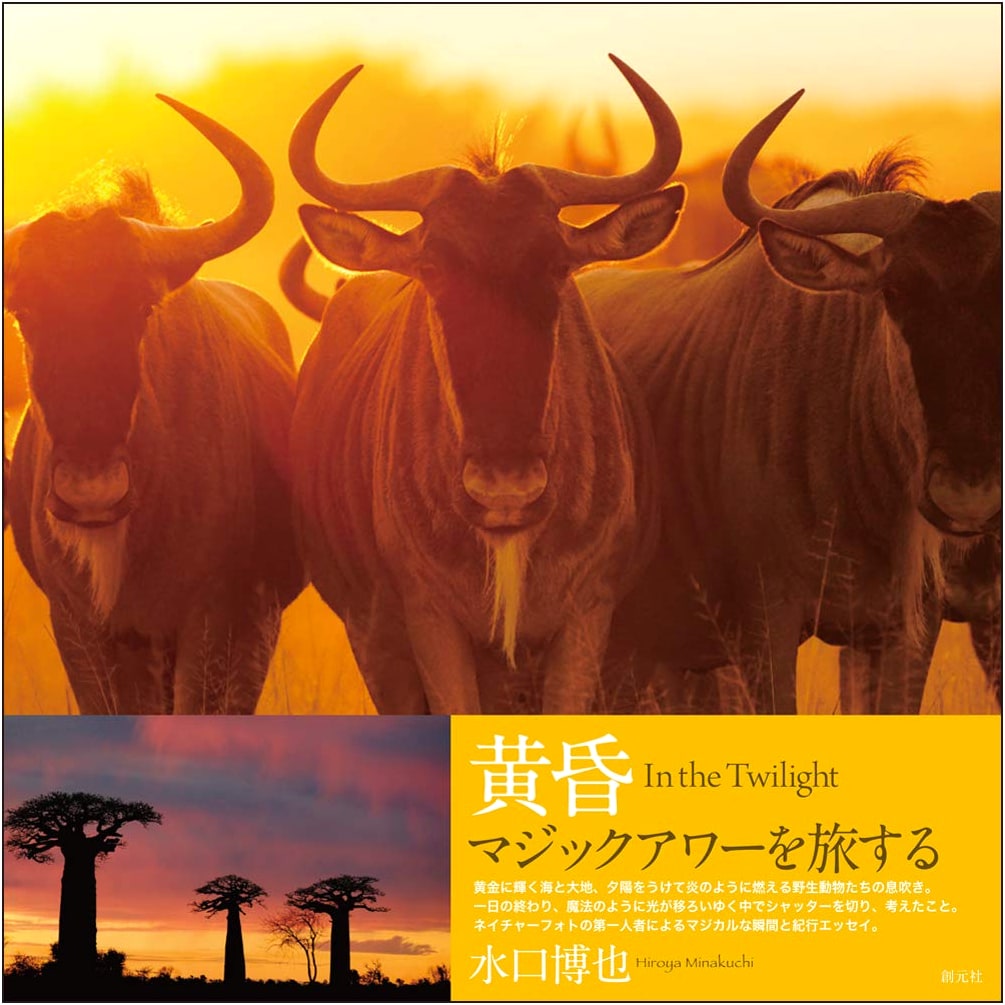 In the Twilight