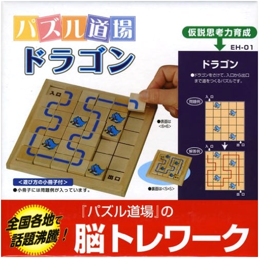 Support Teaching Tool Dragon (Juken Kenkyusha) Study Aid Series