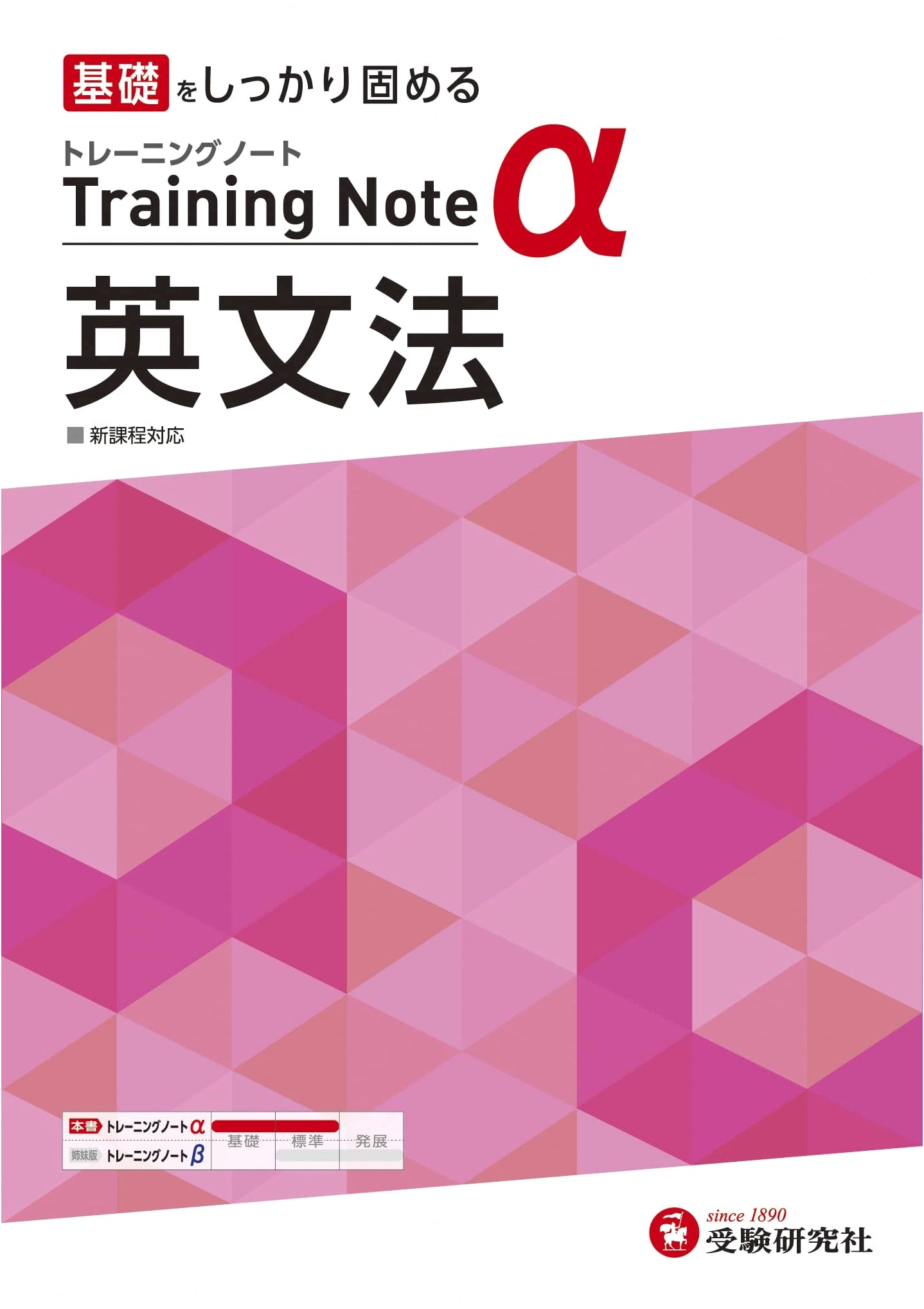 High School Training Note Alpha: English Grammar Workbook for Solidifying Fundamentals