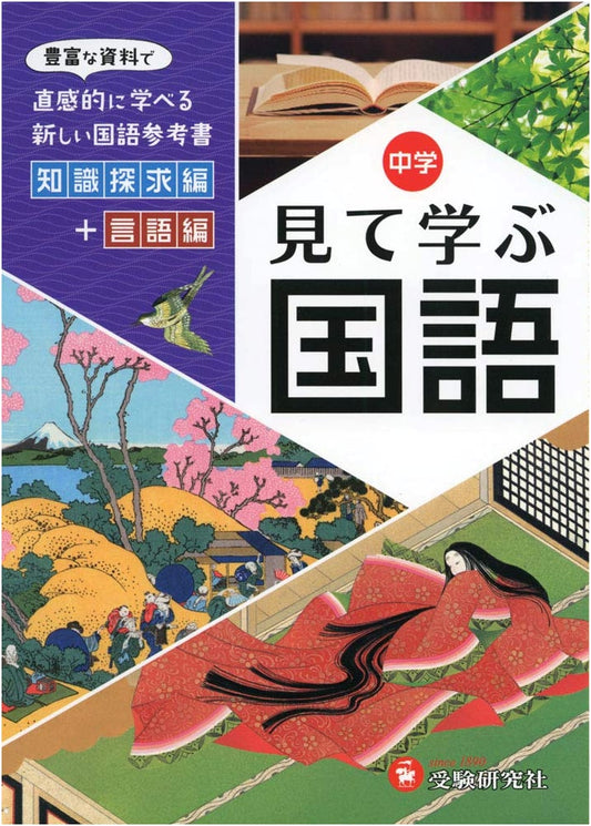 Mastering Junior High Japanese: A Visual Guide for Intuitive Learning with Rich Resources