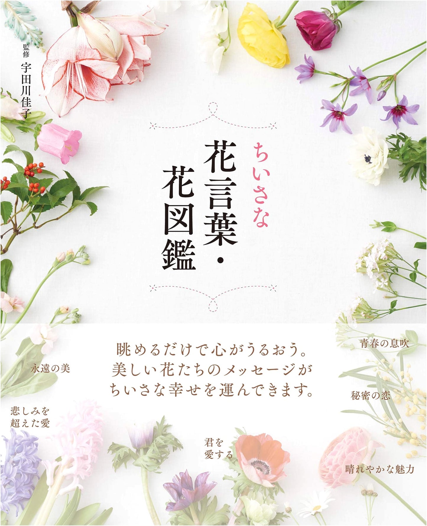 The Little Book of Flowers: Flower Language & Illustrated Guide