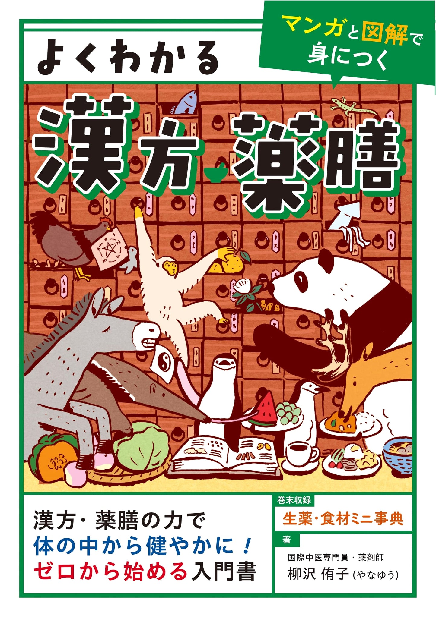 Understanding Kampo & Medicinal Cuisine: A Manga & Illustrated Guide by Yuko Yanagisawa