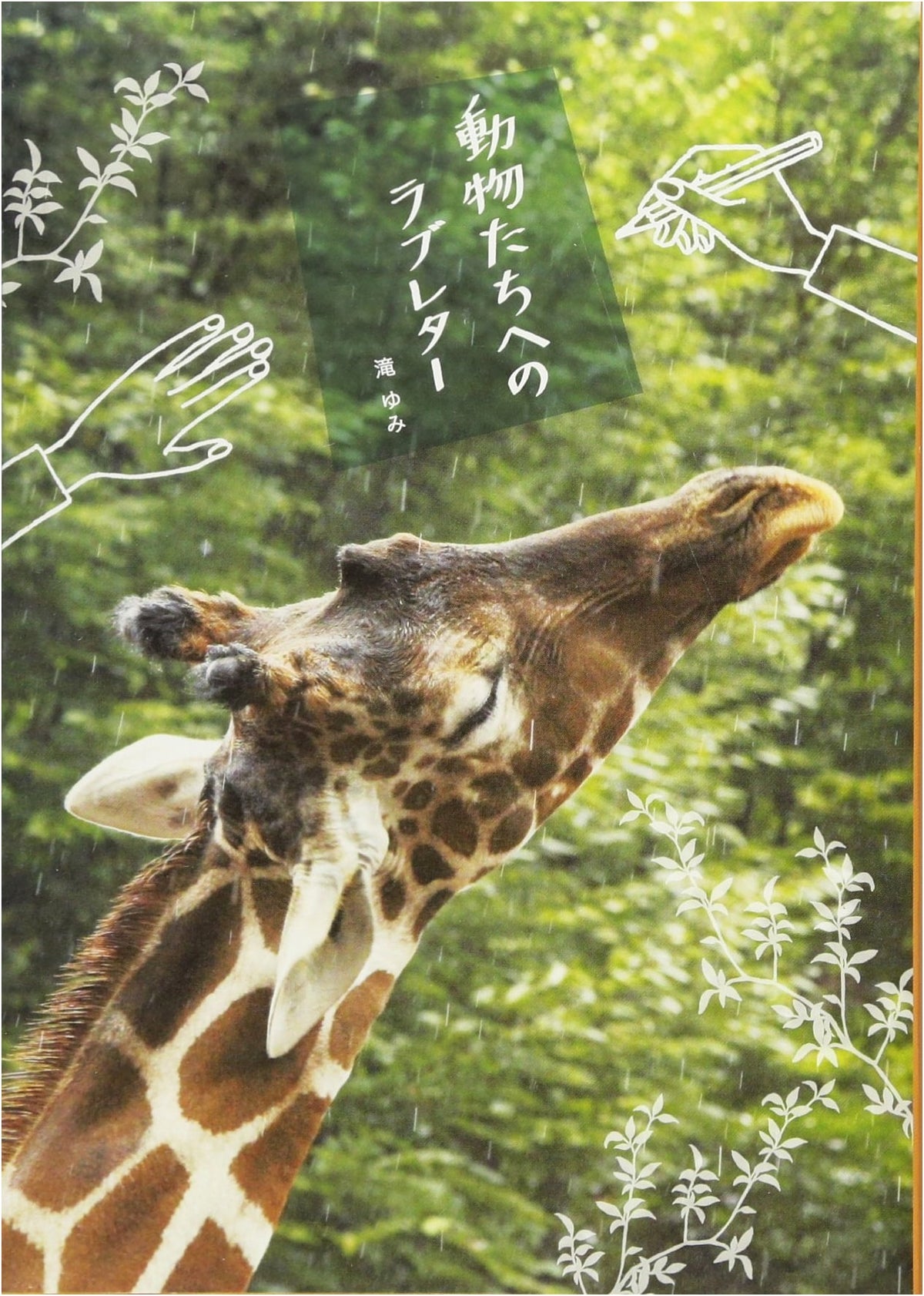Love Letters to Animals