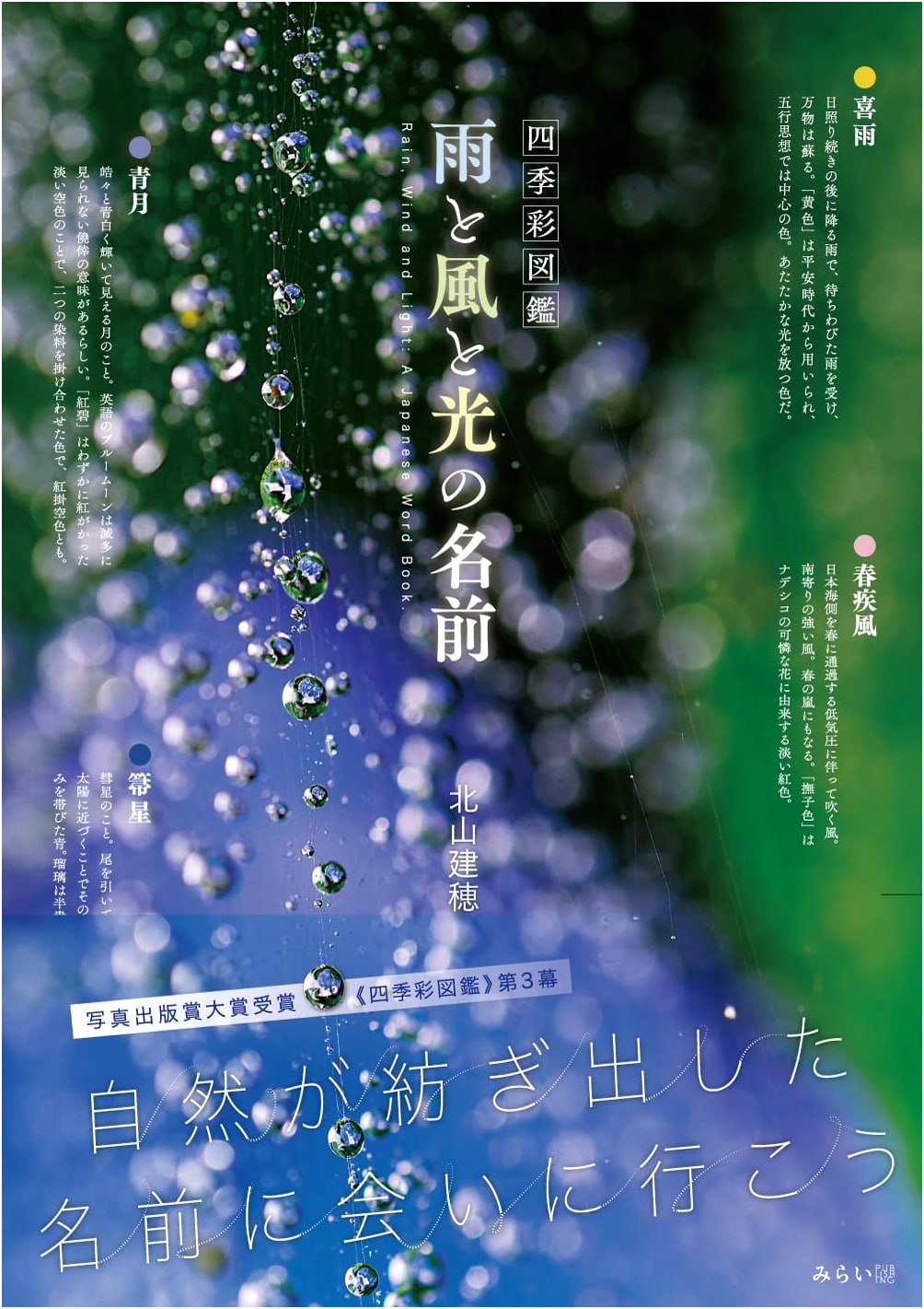 Seasons in Color: A Visual Guide to Japanese Names for Rain, Wind, and Light by Takeho Kitayama