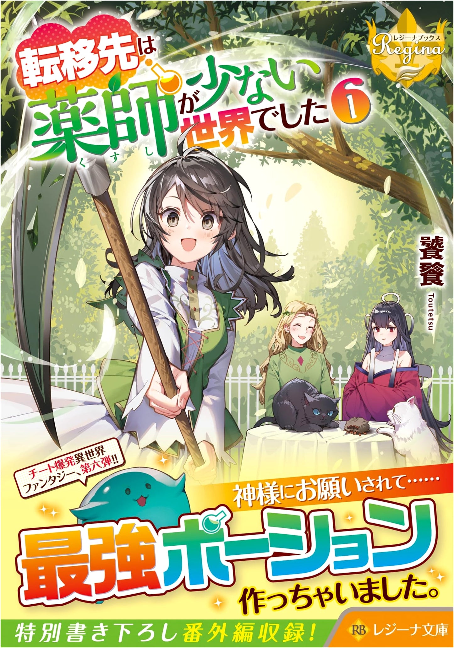 My Reincarnation in a World with Few Pharmacists, Vol. 6