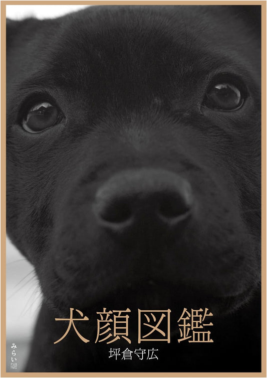 Dog-Faced Photo Album by Morihiro Tsubokura