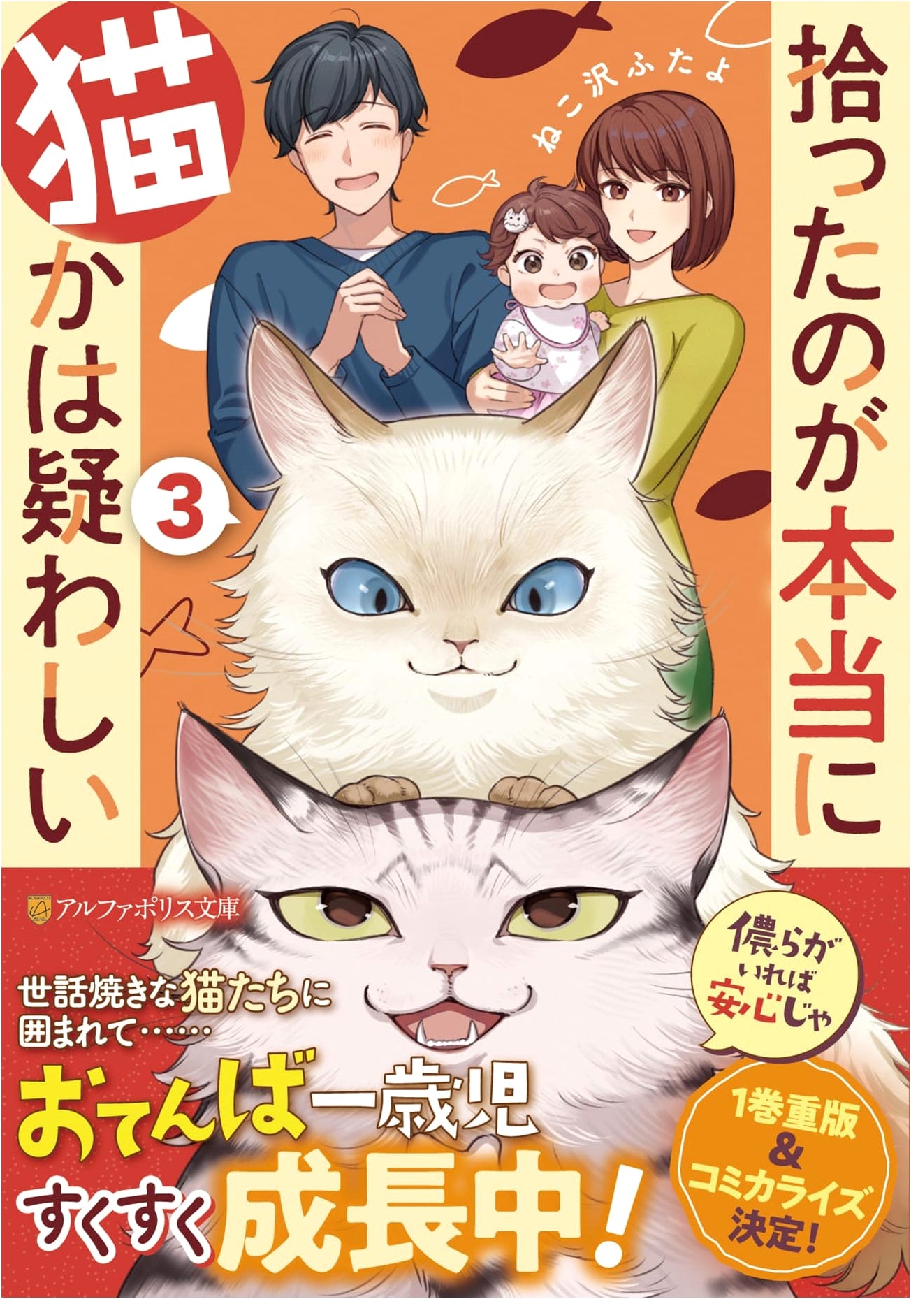 It's Doubtful if the Cat I Picked Up Was Really a Cat (3)