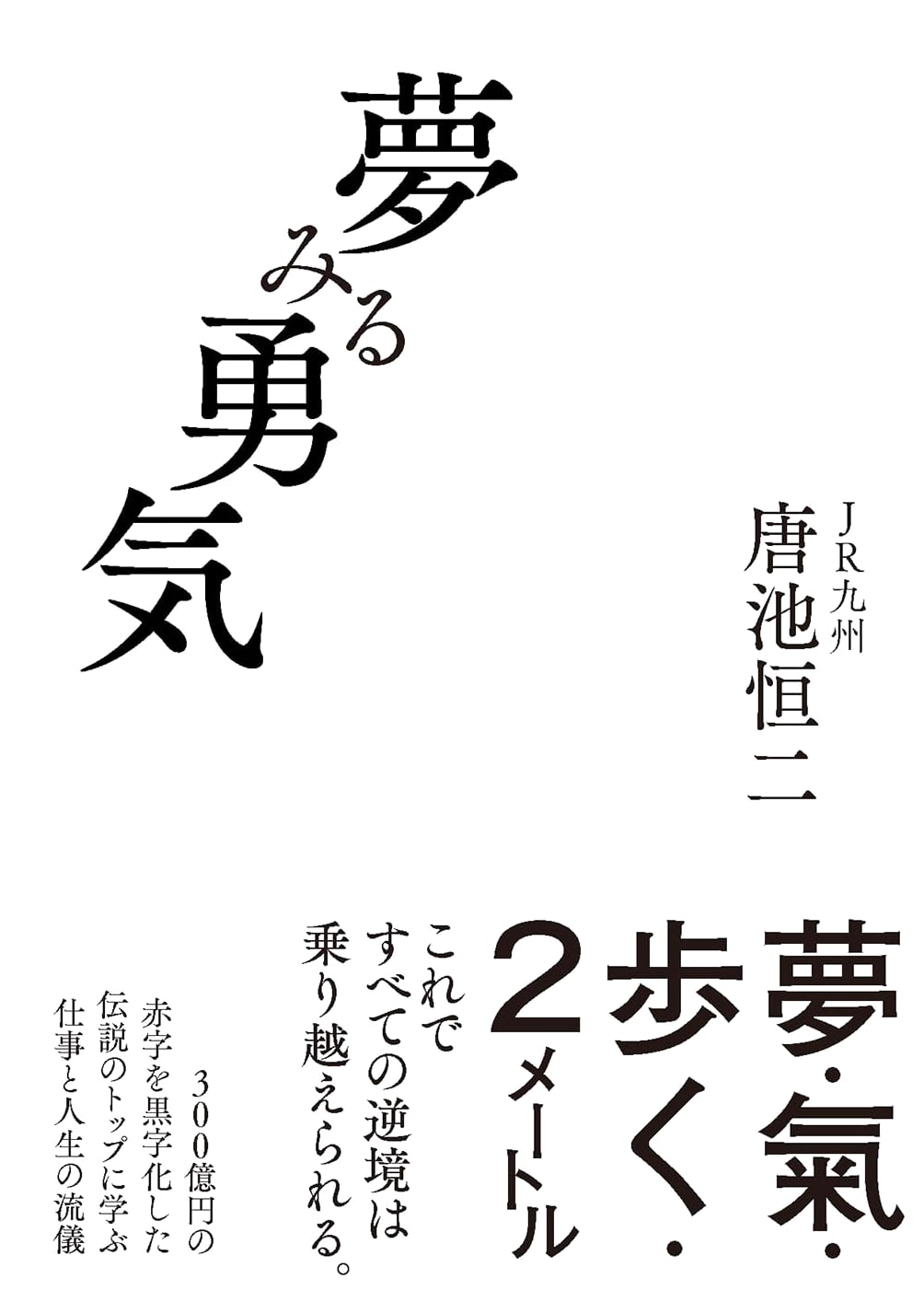 Dreaming Bravely by Koji Toichi