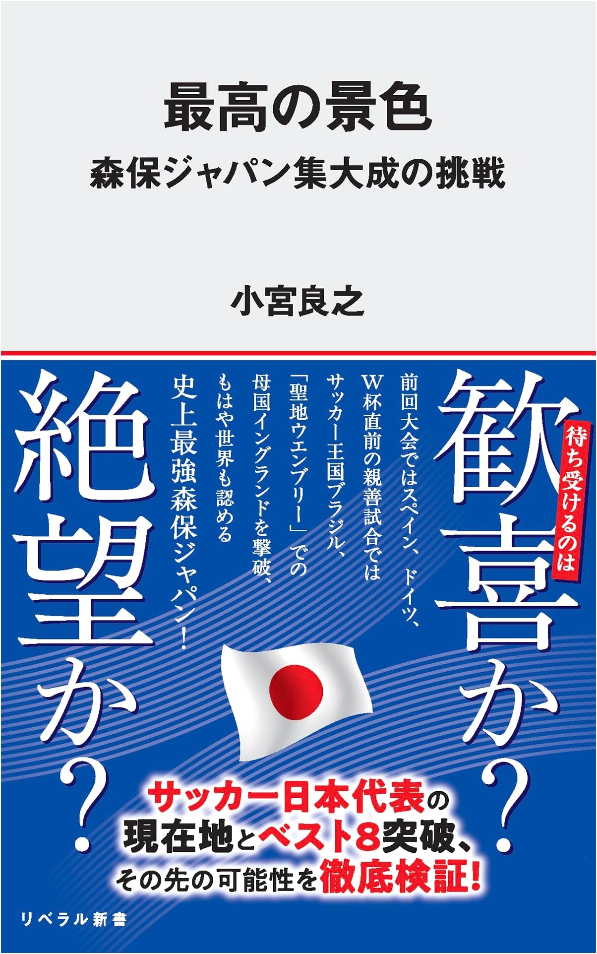 The Ultimate View: Moriyasu Japan's Culminating Challenge (Liberal Shinsho 014)