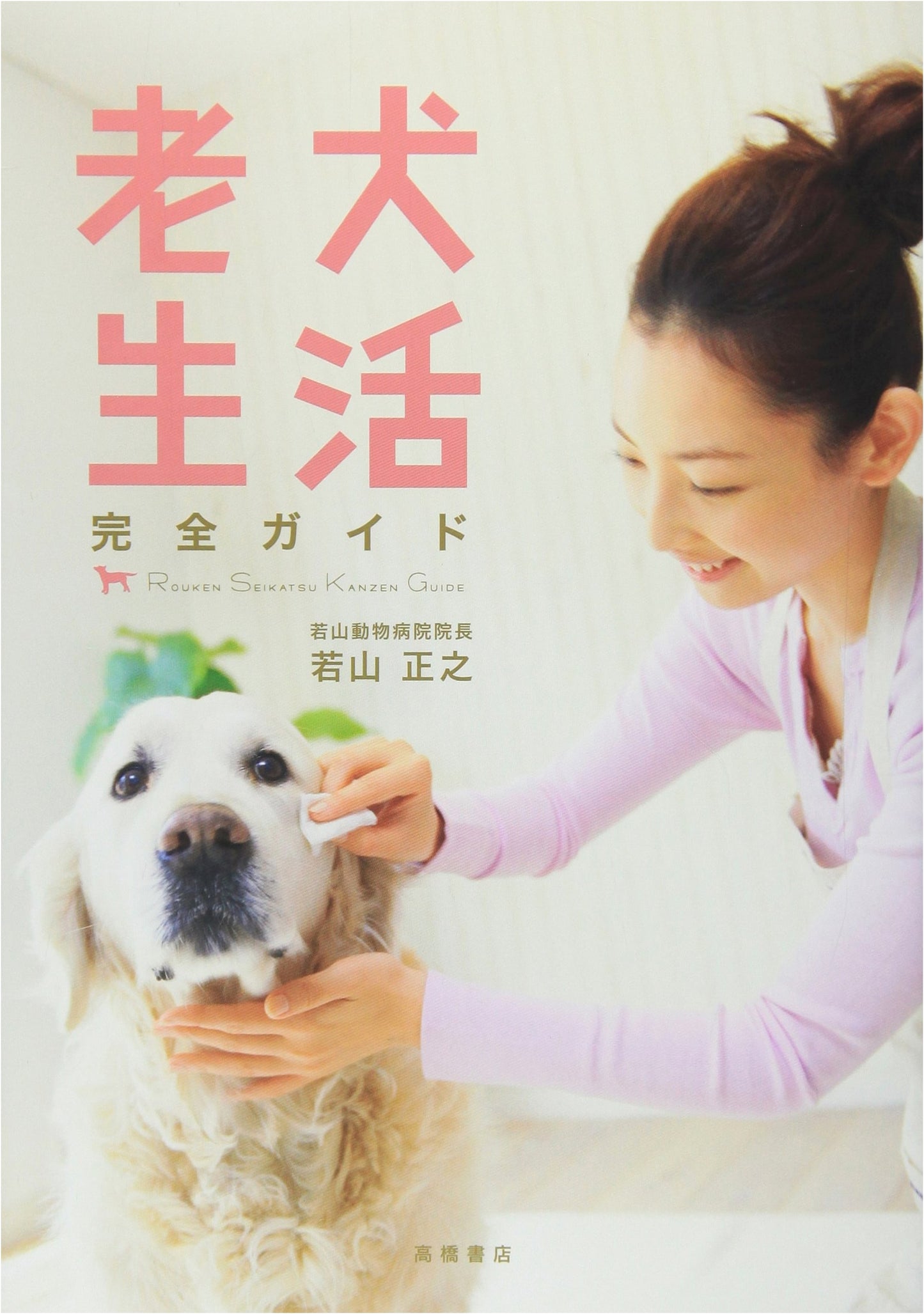 Complete Guide to Senior Dog Life