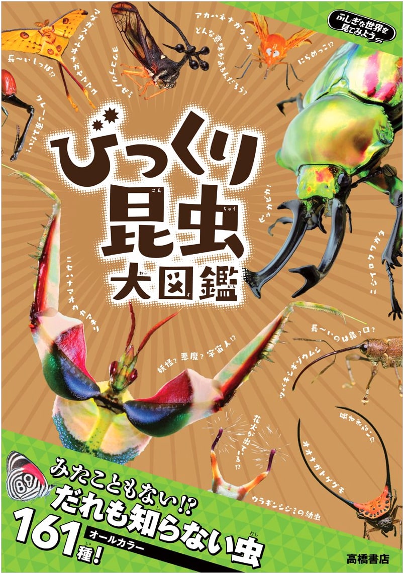 Let's Explore a Mysterious World! Amazing Insects Encyclopedia