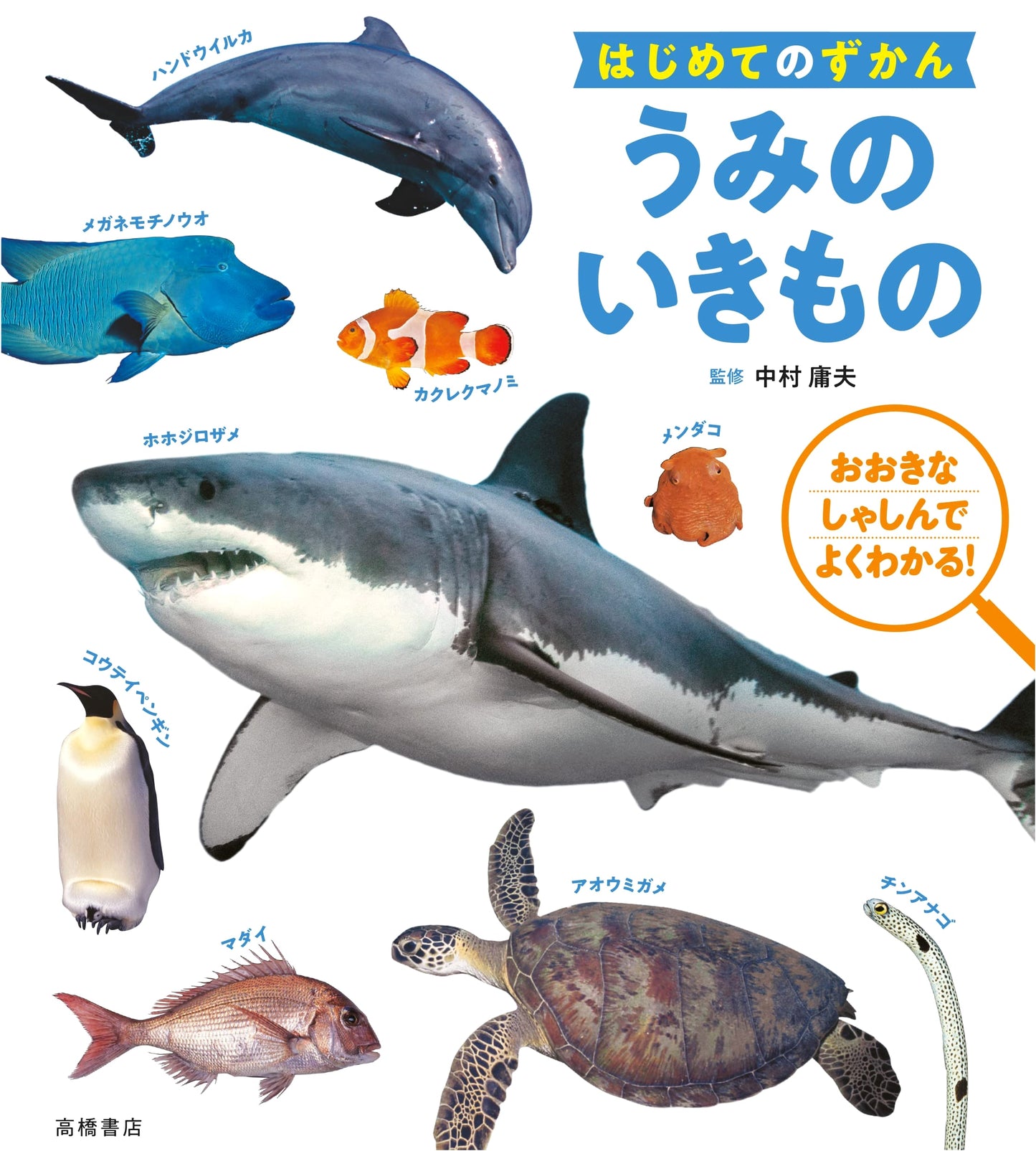 My First Illustrated Guide to Marine Life