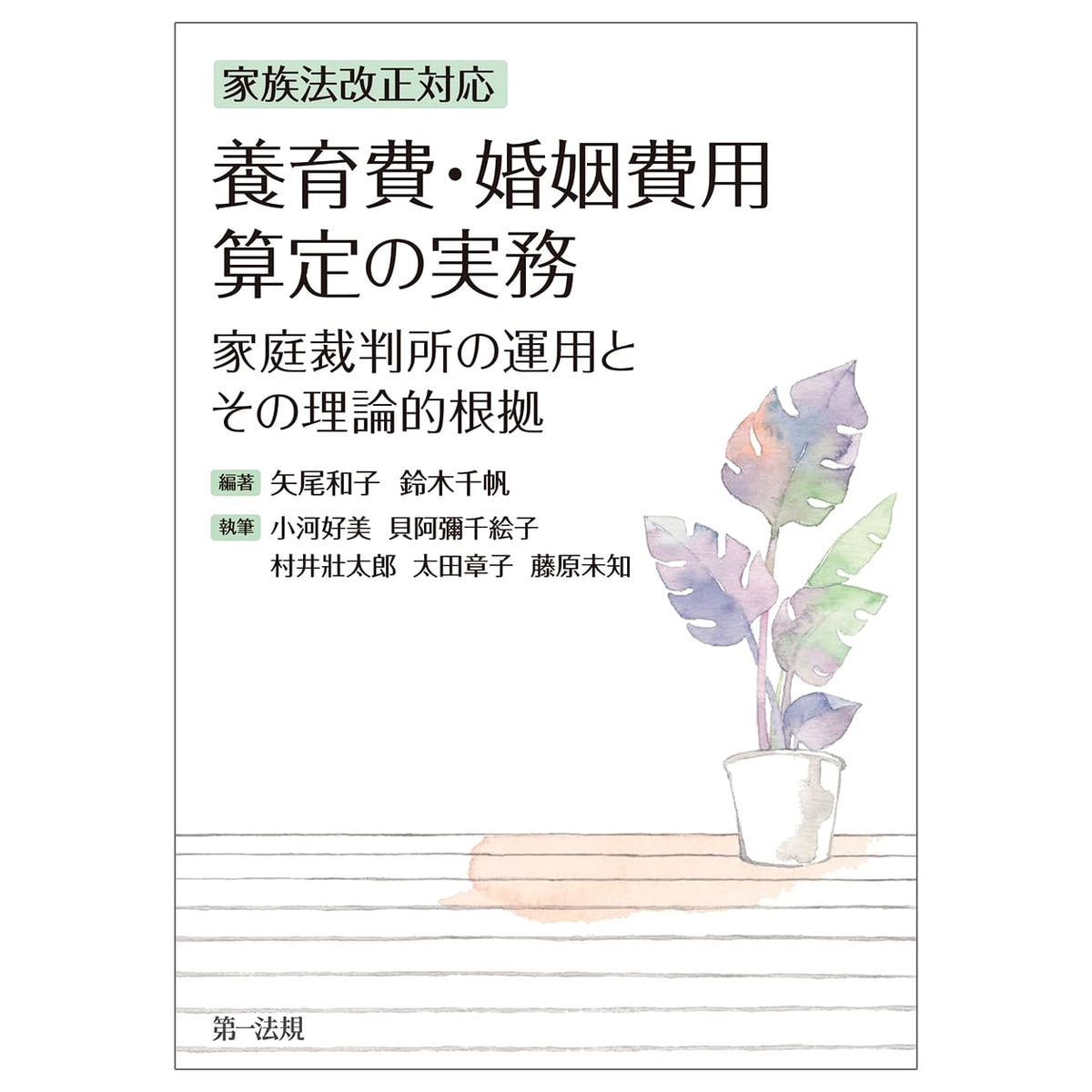 Practical Guide to Child Support & Marital Expenses: Family Court Practice After Law Revisions