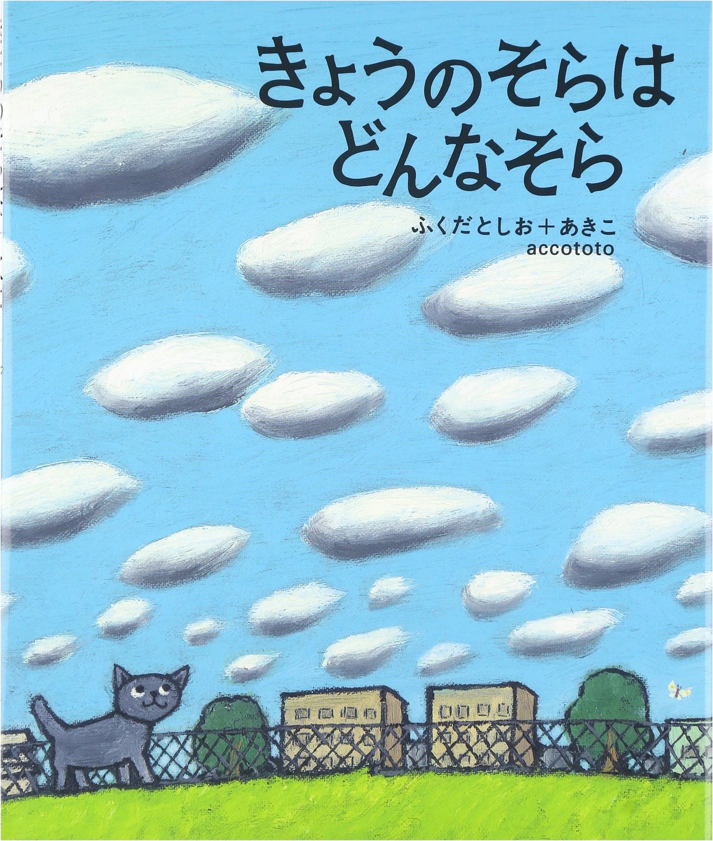 What Kind of Sky Is Today's Sky?