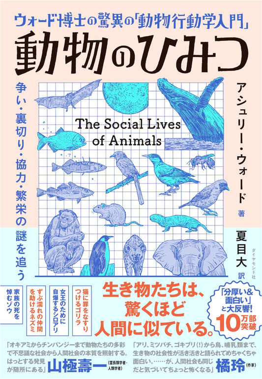 An Introduction to Animal Behavior: Unlocking the Secrets of the Animal Kingdom by Ashley Ward