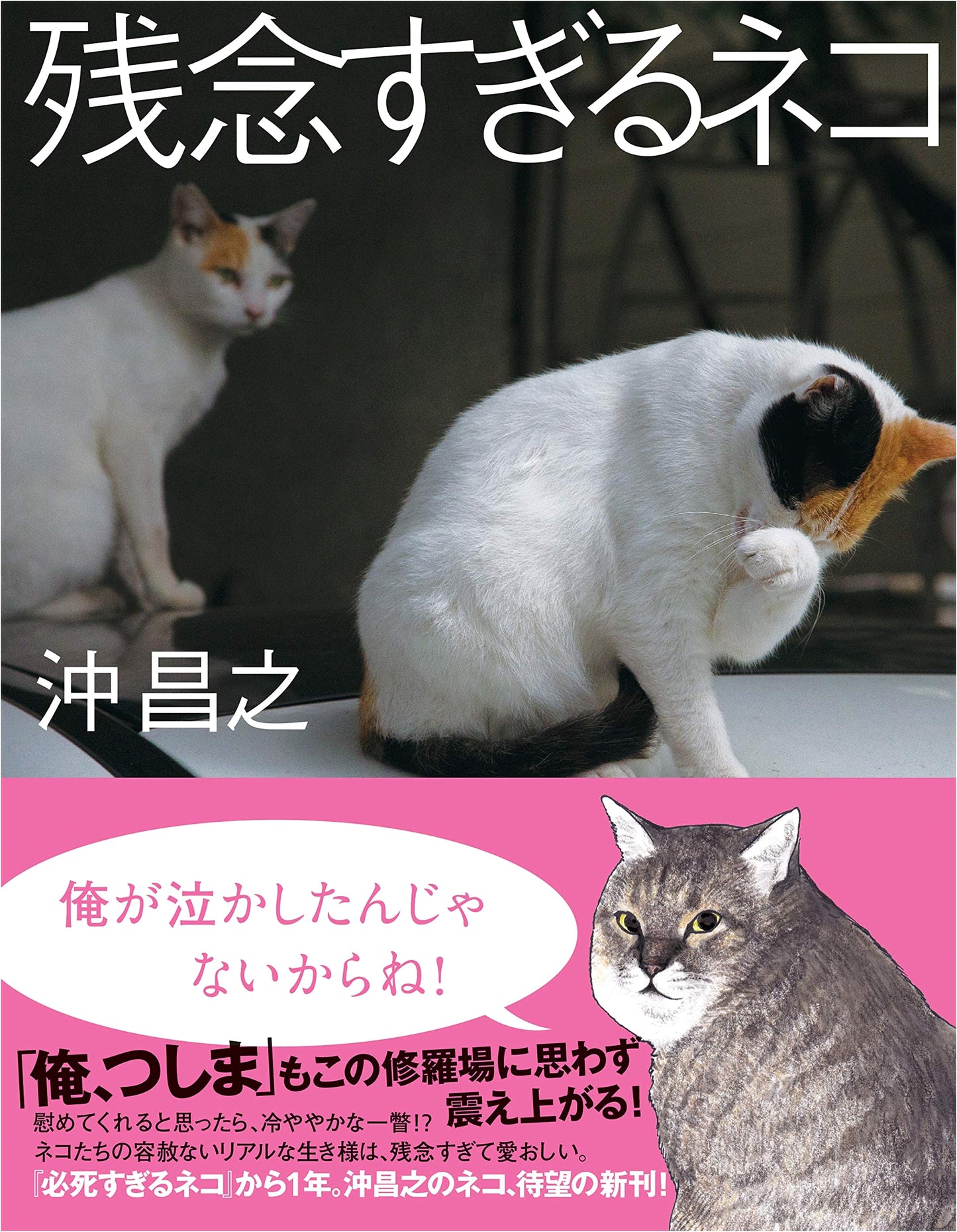 Zannen Sugiru Neko: The Terribly Unfortunate Cats of Masayuki Oki