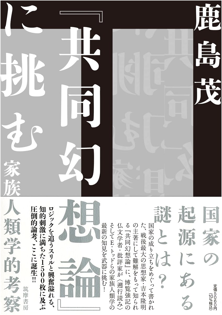 Challenging the Collective Illusion Theory: A Family Anthropological Study by Shigeru Kashima